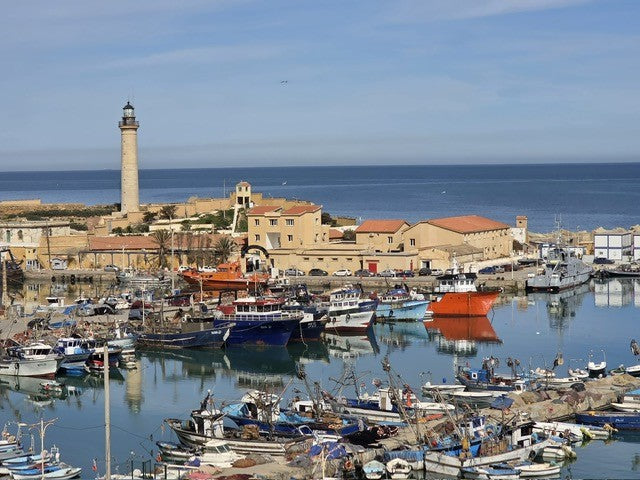 Algeria Research Trip | March 2026