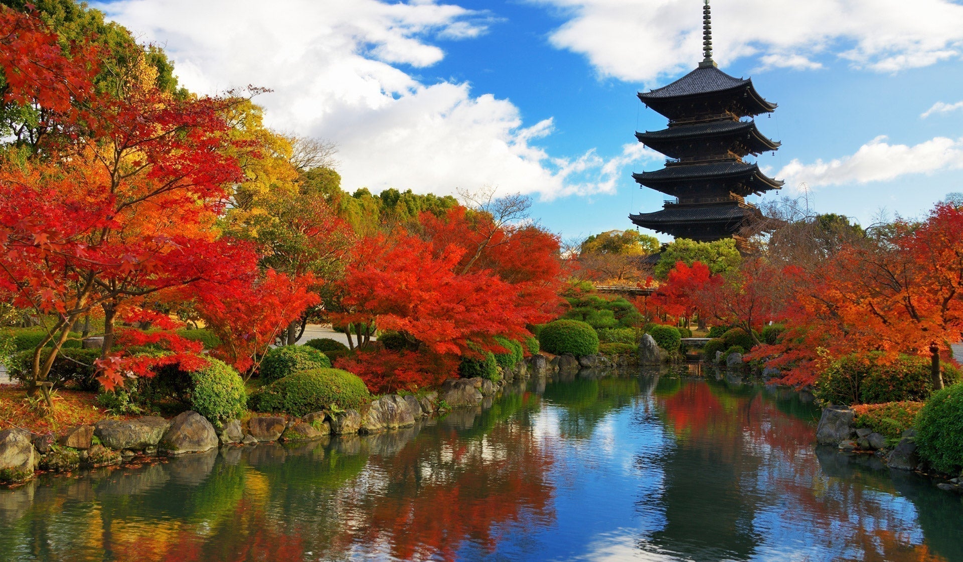 Walking in Japan | November 2025