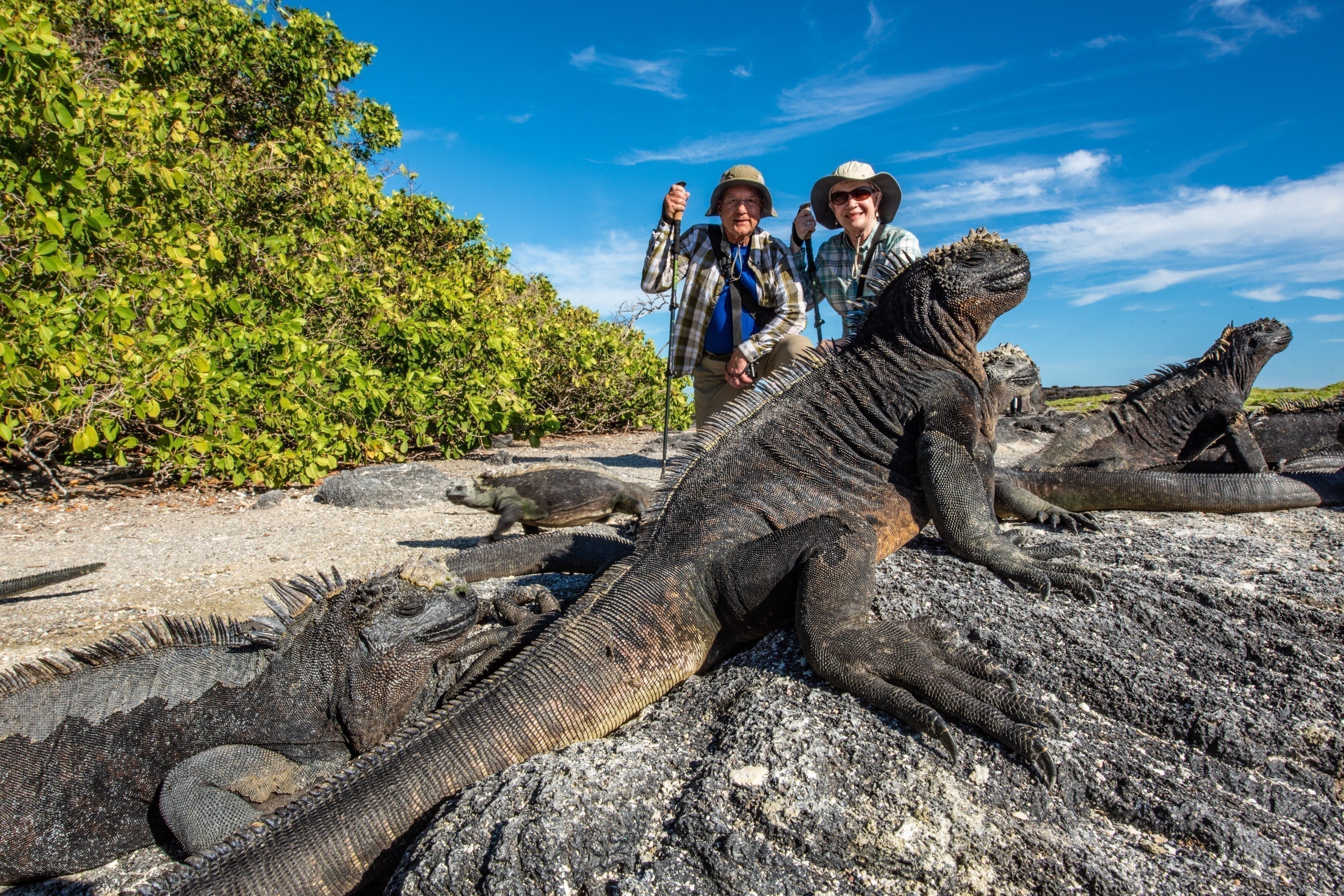 Galapagos Wildlife Cruise