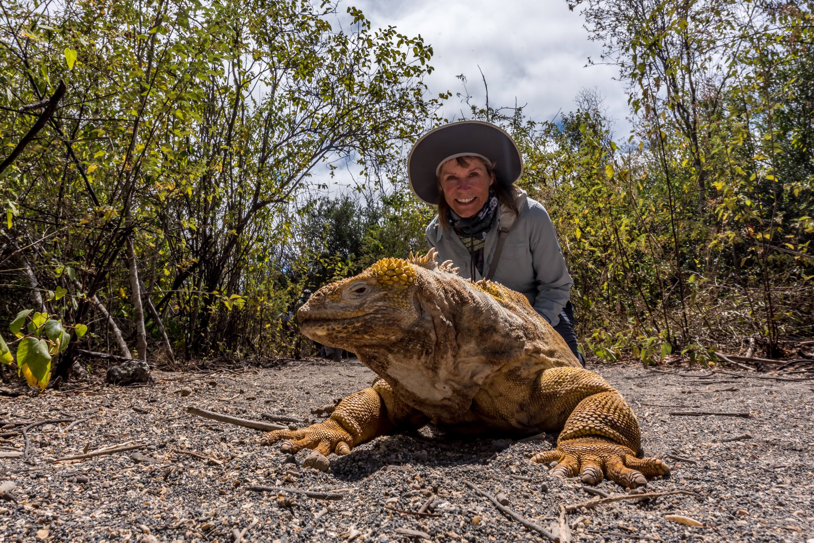 Galapagos Wildlife Cruise <br>19 - 31 May, 2026