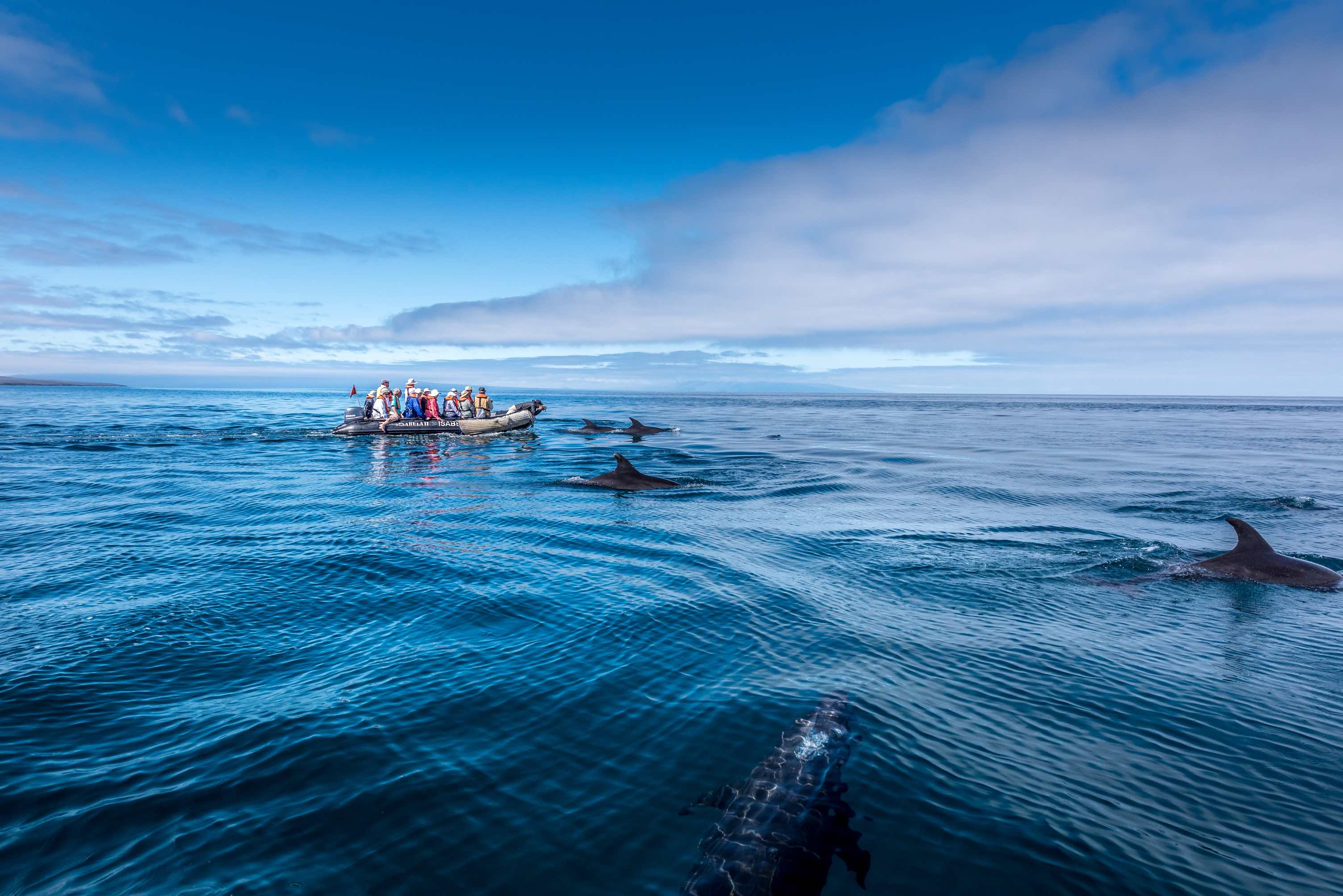 Galapagos Wildlife Cruise <br>19 - 31 May, 2026