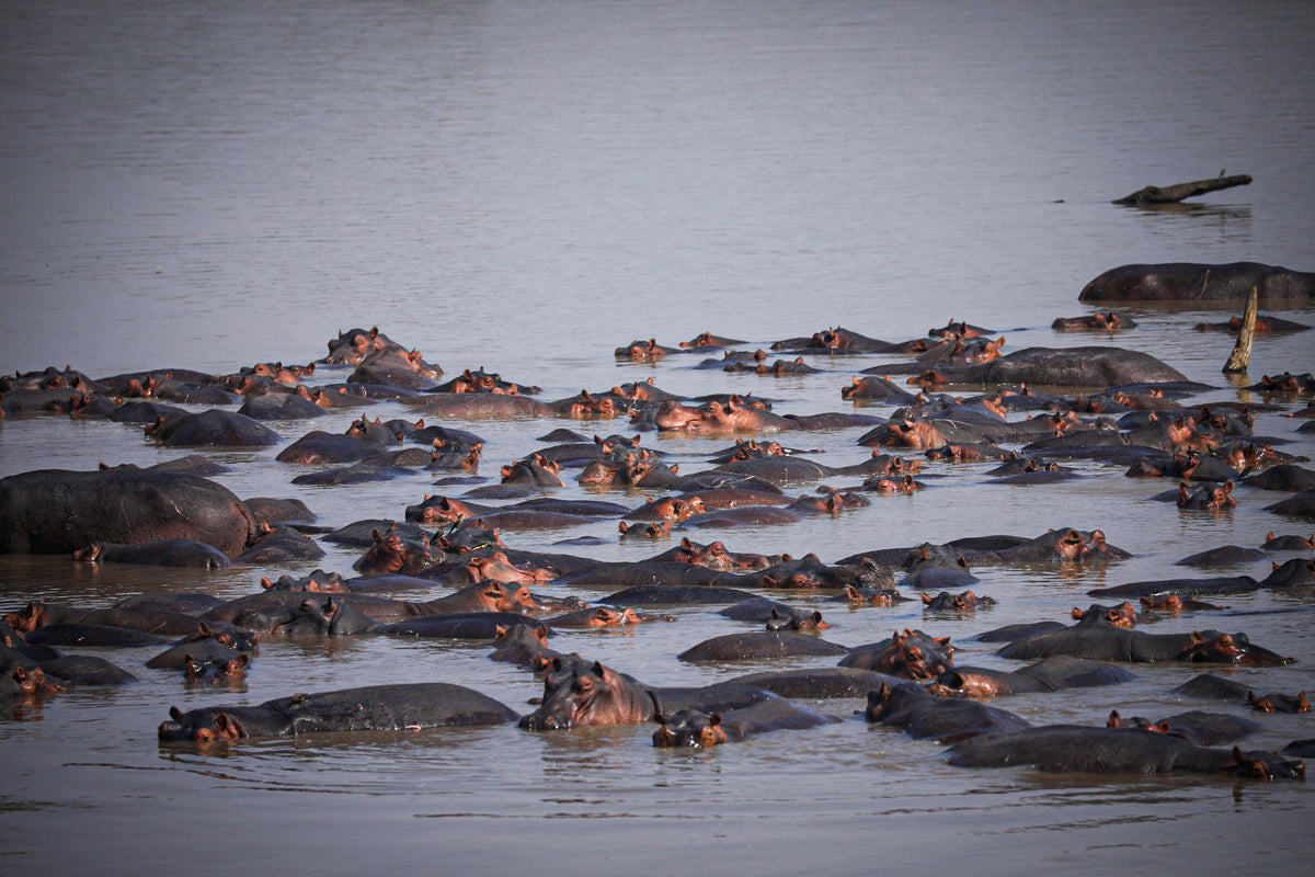 Malawi & Zambia Explorer <br>21 July - 10 August, 2027