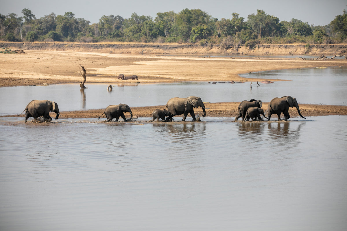 Malawi & Zambia Explorer <br>21 July - 10 August, 2027