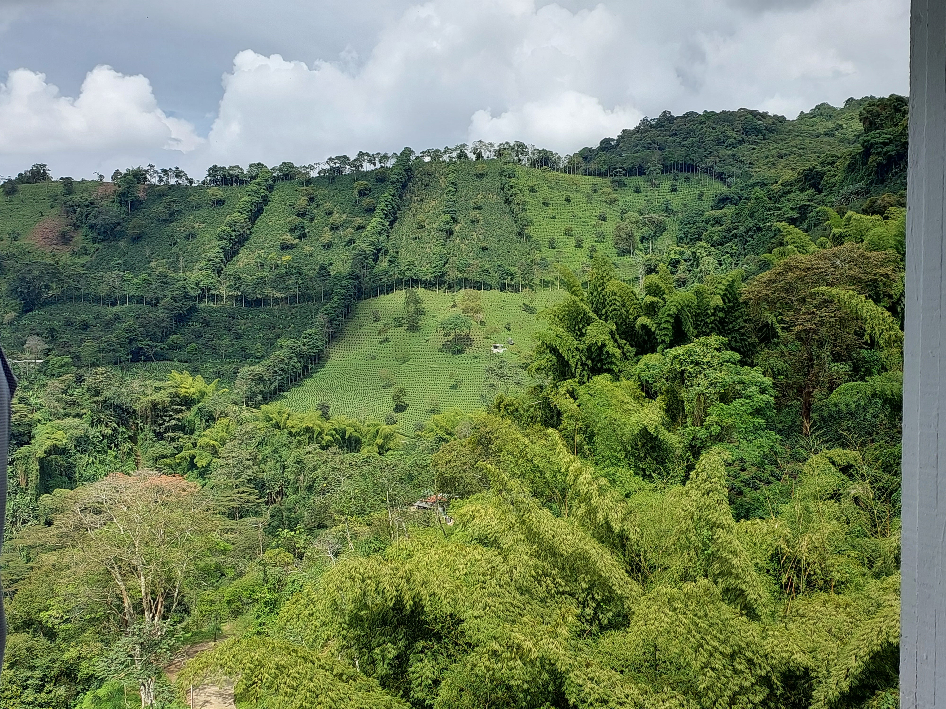 Taste of Colombia <br>8 - 24 Mar, 2027