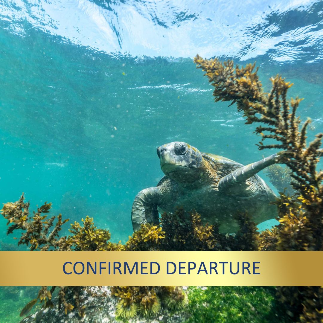 Galapagos Wildlife Cruise 2026<br>19 - 31 May, 2026