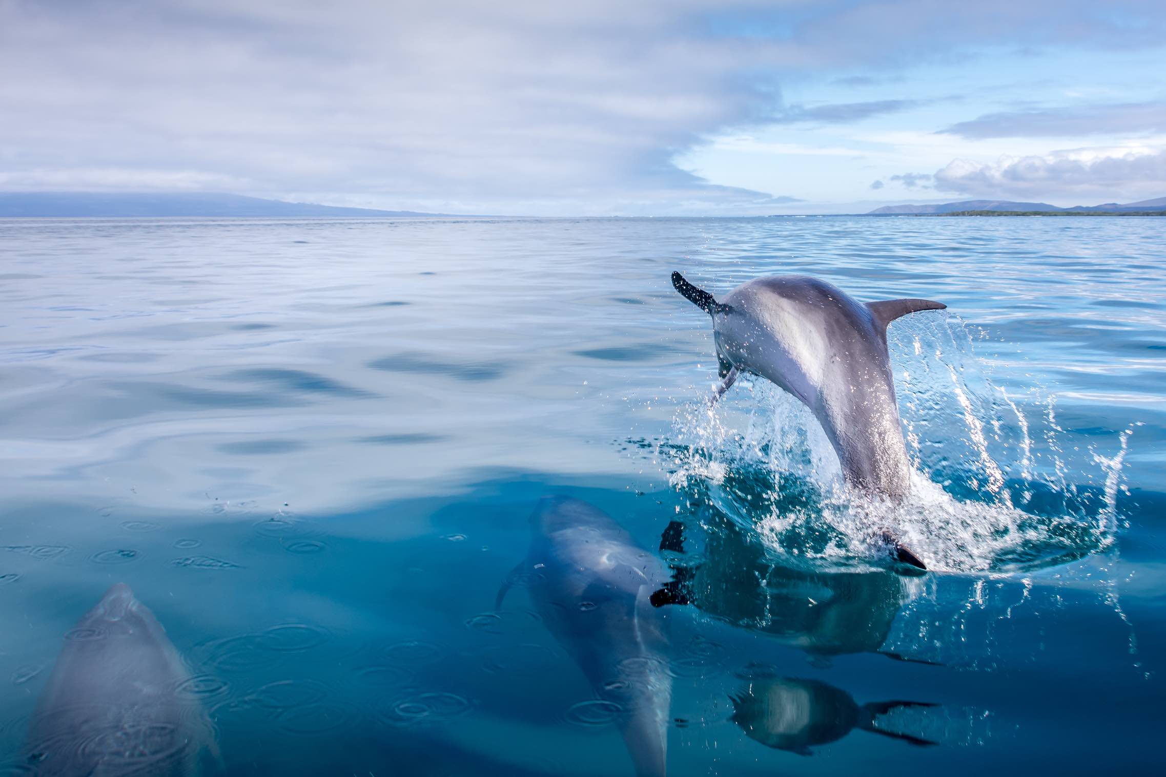 Galapagos Wildlife Cruise <br>19 - 31 May, 2026