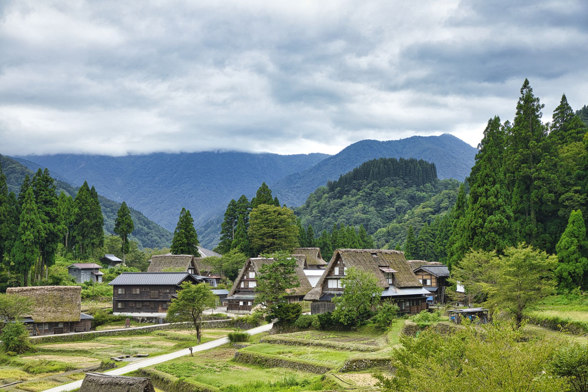 Walking in Japan 2026