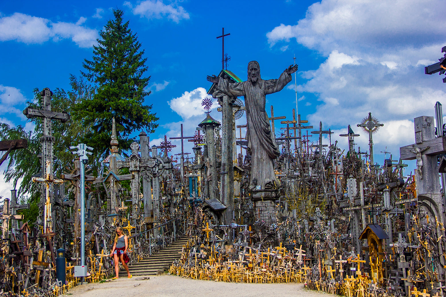 Estonia, Latvia, Lithuania & Poland <br>24 June - 11 July, 2026