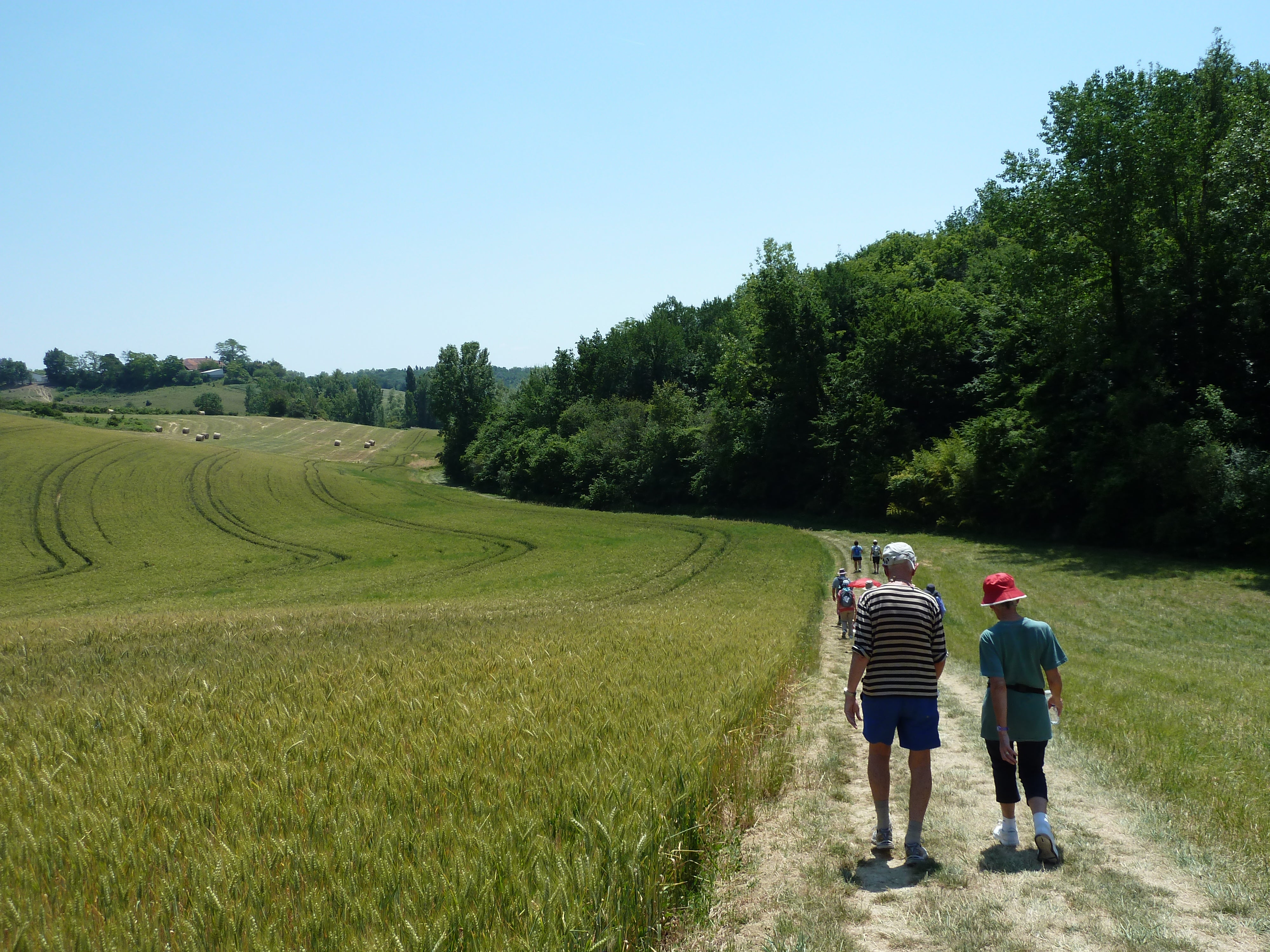 Way of St James - The Camino 2026
