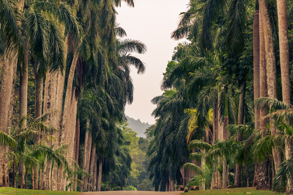 Jewels of Sri Lanka <br> November, 2027