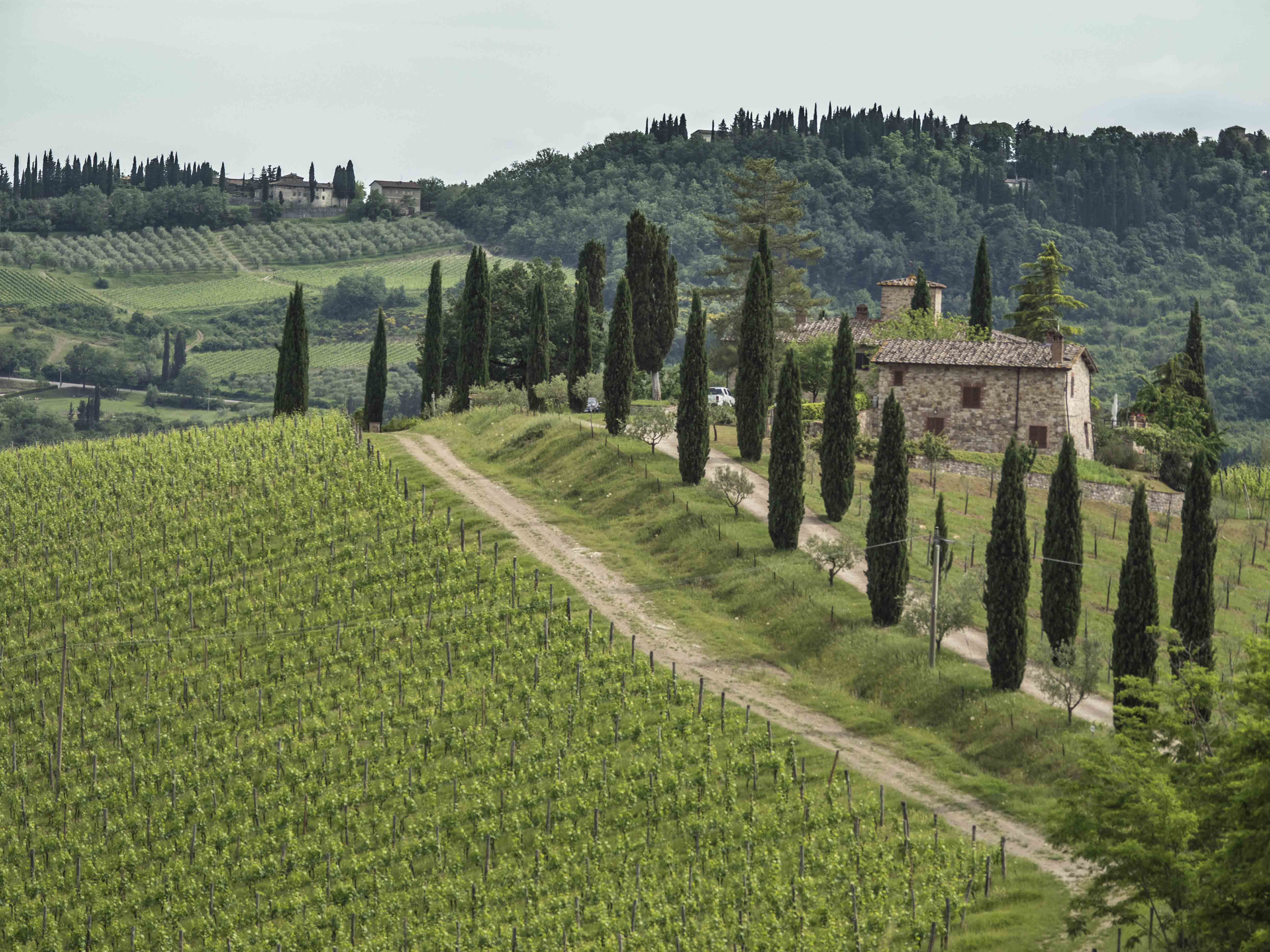 E-Bike Tuscany<br> 26 April - 11 May, 2027