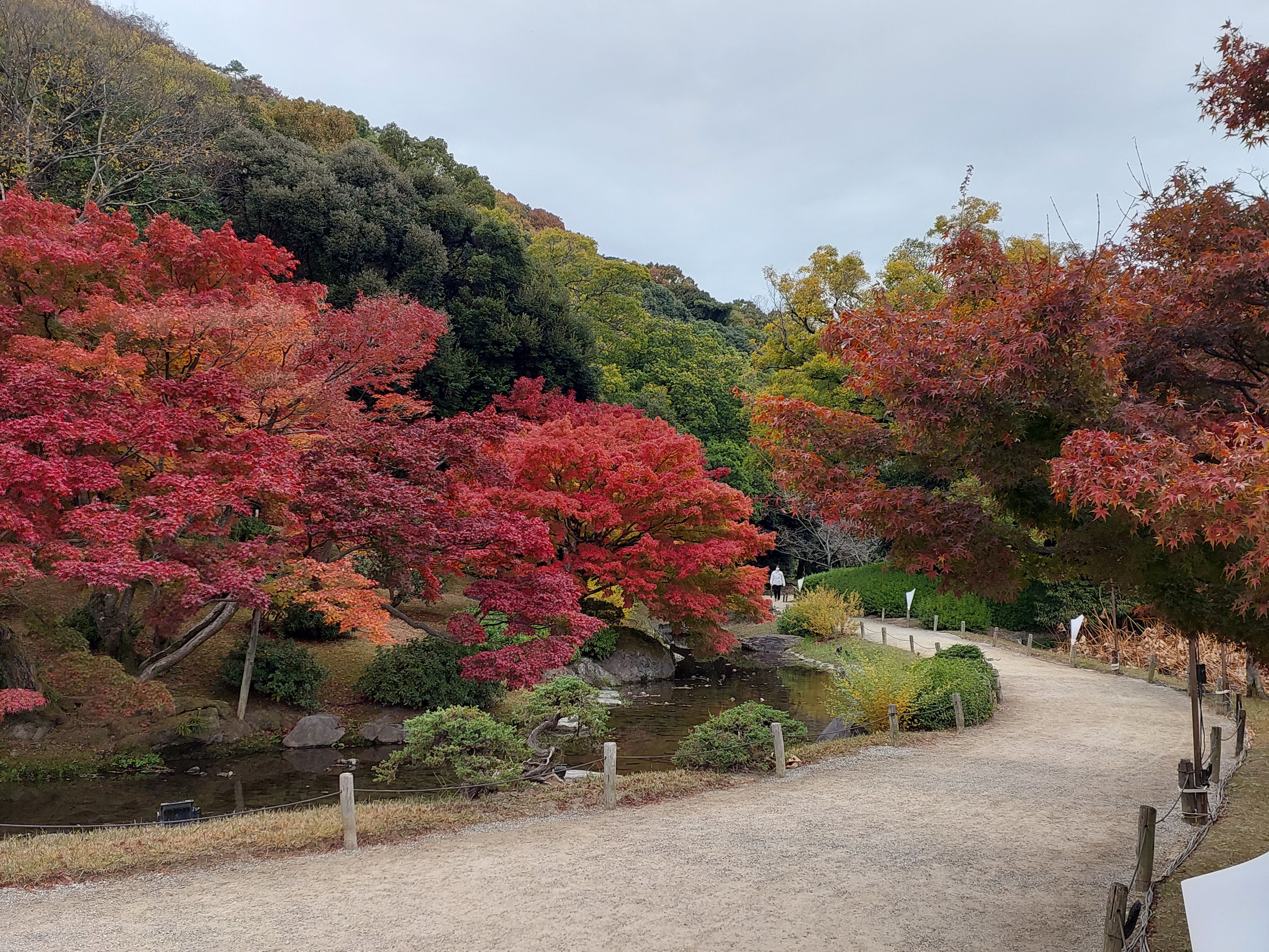 Walking in Japan <br>14 Nov - 3 Dec, 2026