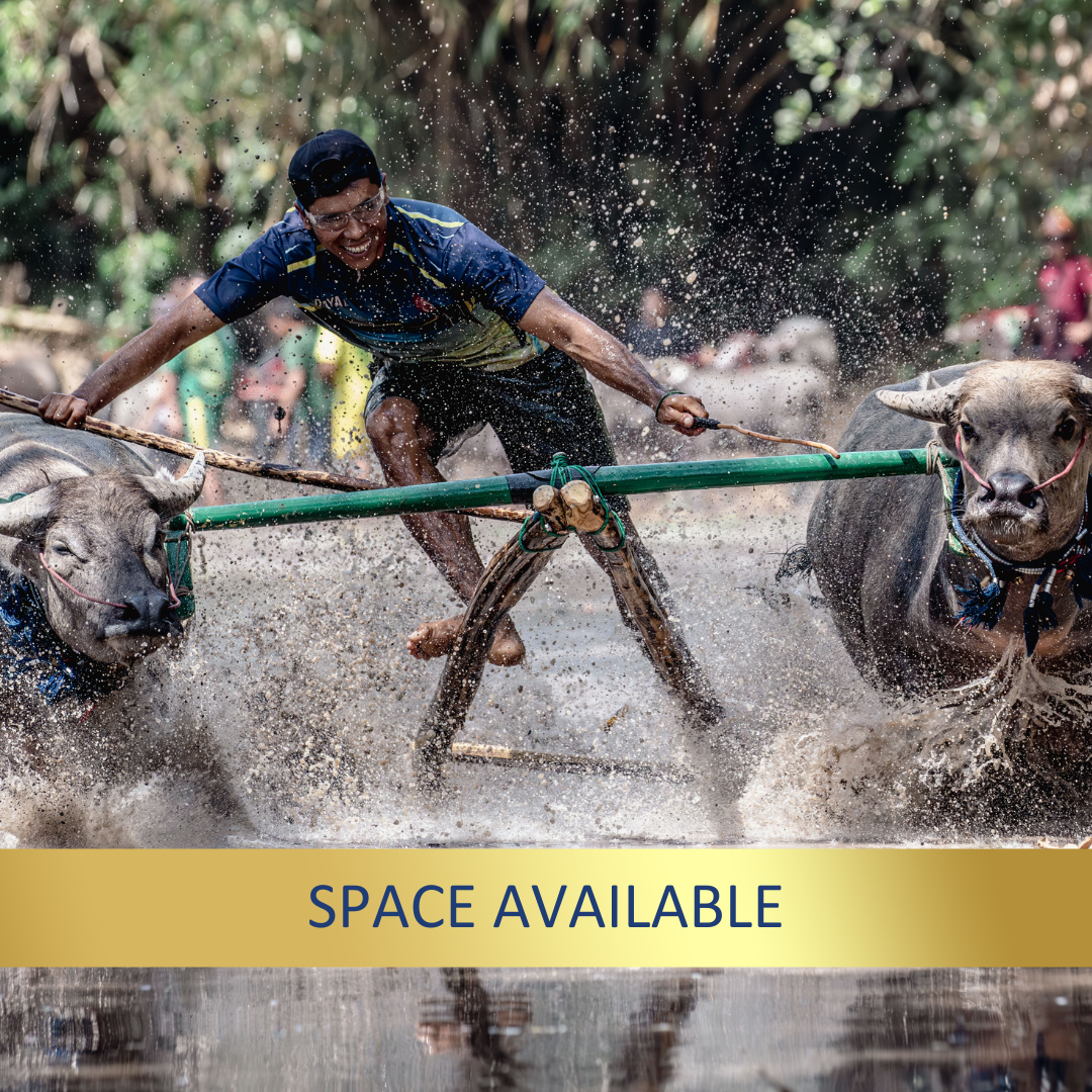 Indonesia's Forgotten Islands <br>8 - 21 Sept, 2026