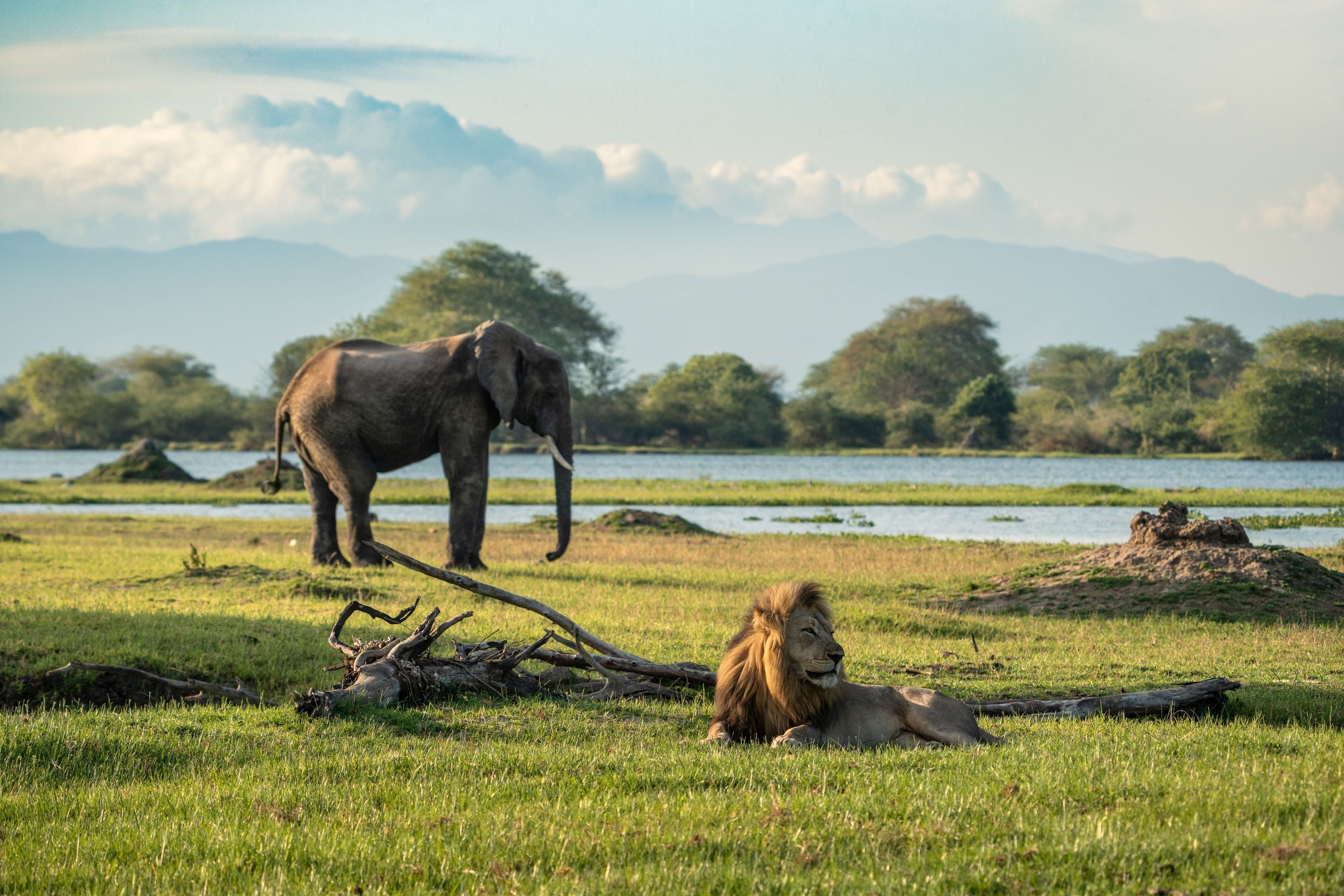 Malawi & Zambia <br>21 July - 10 August, 2027