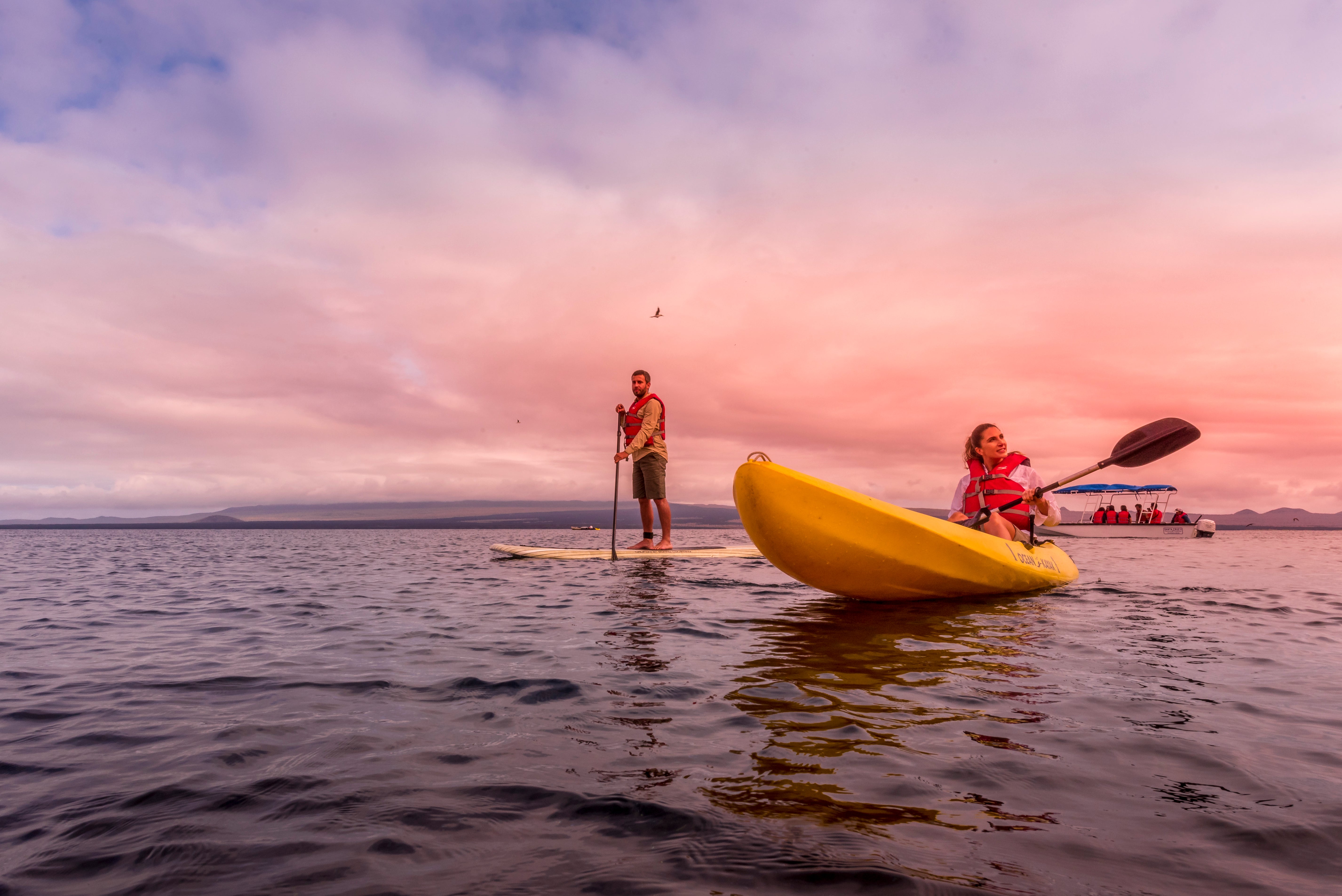 Galapagos Wildlife Cruise 2026<br>19 - 31 May, 2026