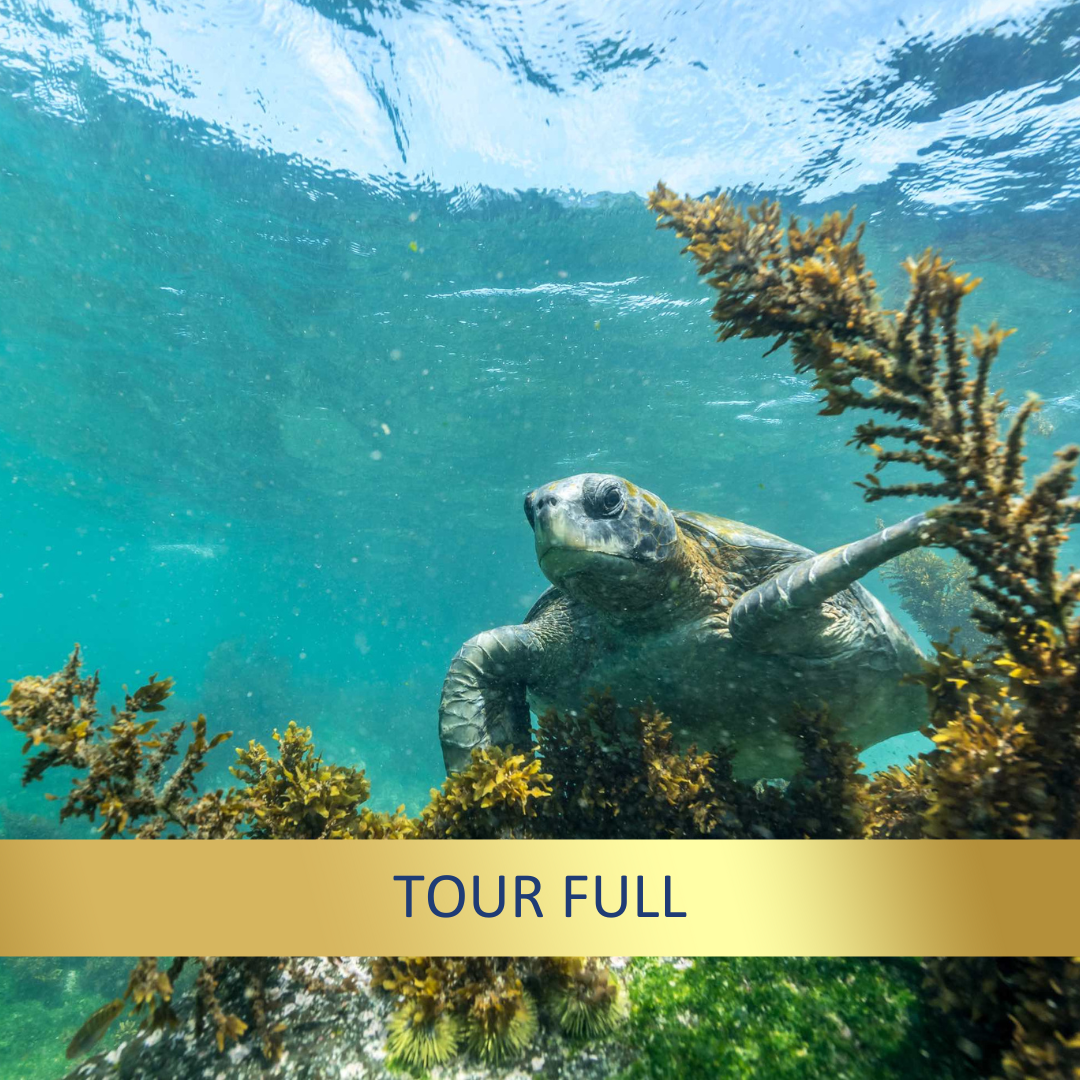 Galapagos Wildlife Cruise <br>19 - 31 May, 2026