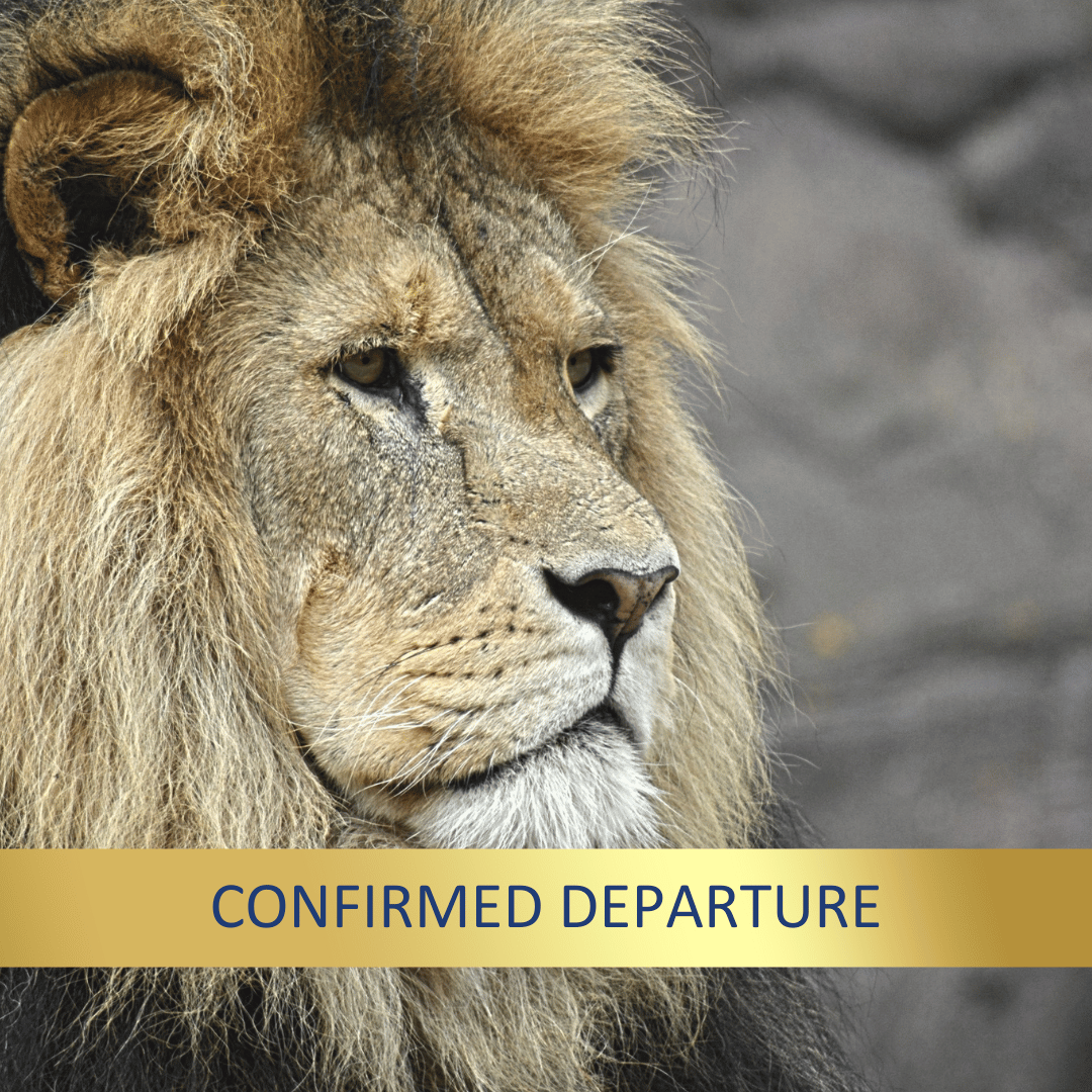 The Serengeti & Beyond <br>31 Aug - 17 Sept, 2026