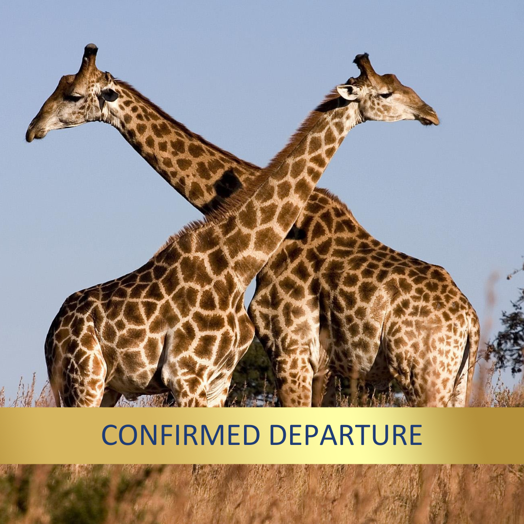 The Serengeti & Beyond <br>31 Aug - 17 Sept, 2026