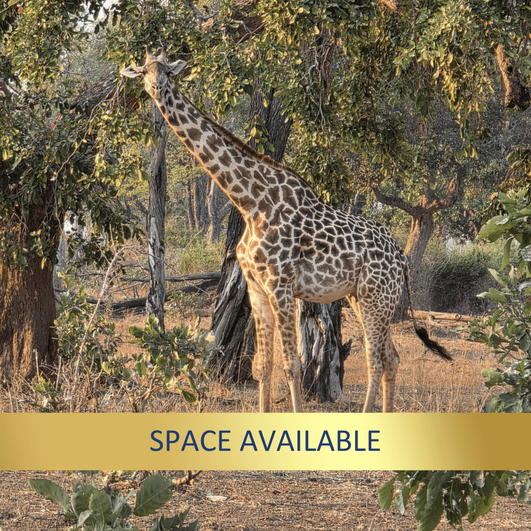 Malawi & Zambia Explorer <br>21 July - 10 August, 2027