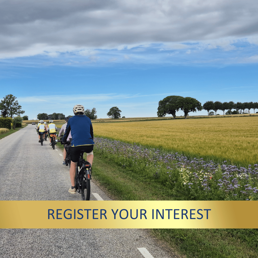 E-Bike: Denmark & Sweden <br>17 - 28 July, 2027