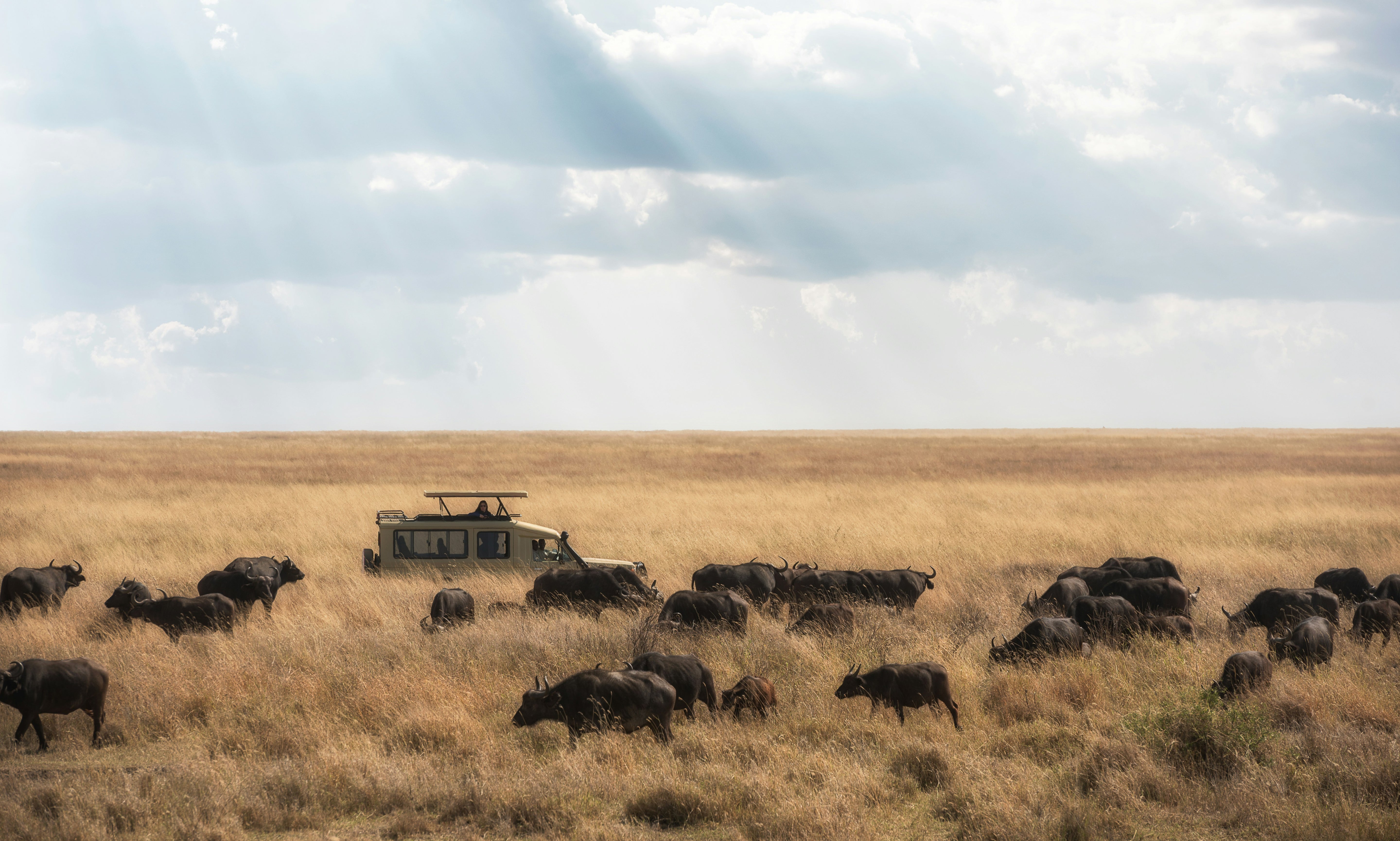 Serengeti & Beyond 2026