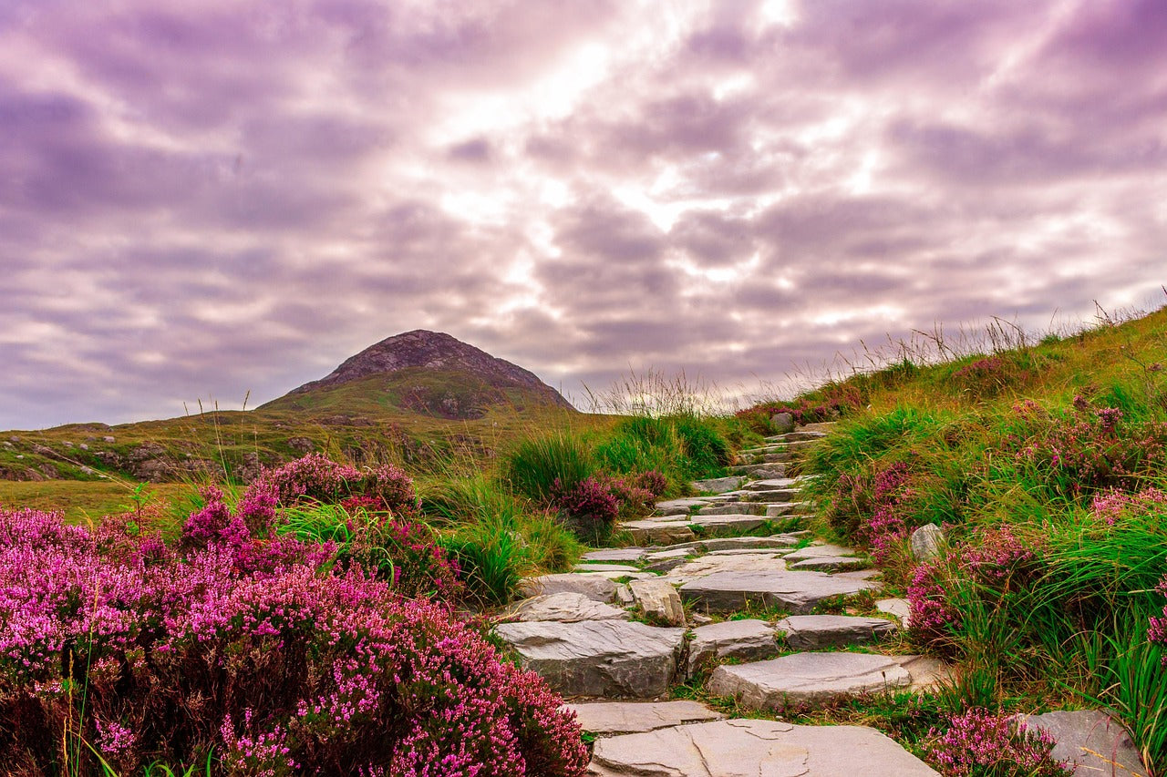 Walking in Ireland<br> June, 2027