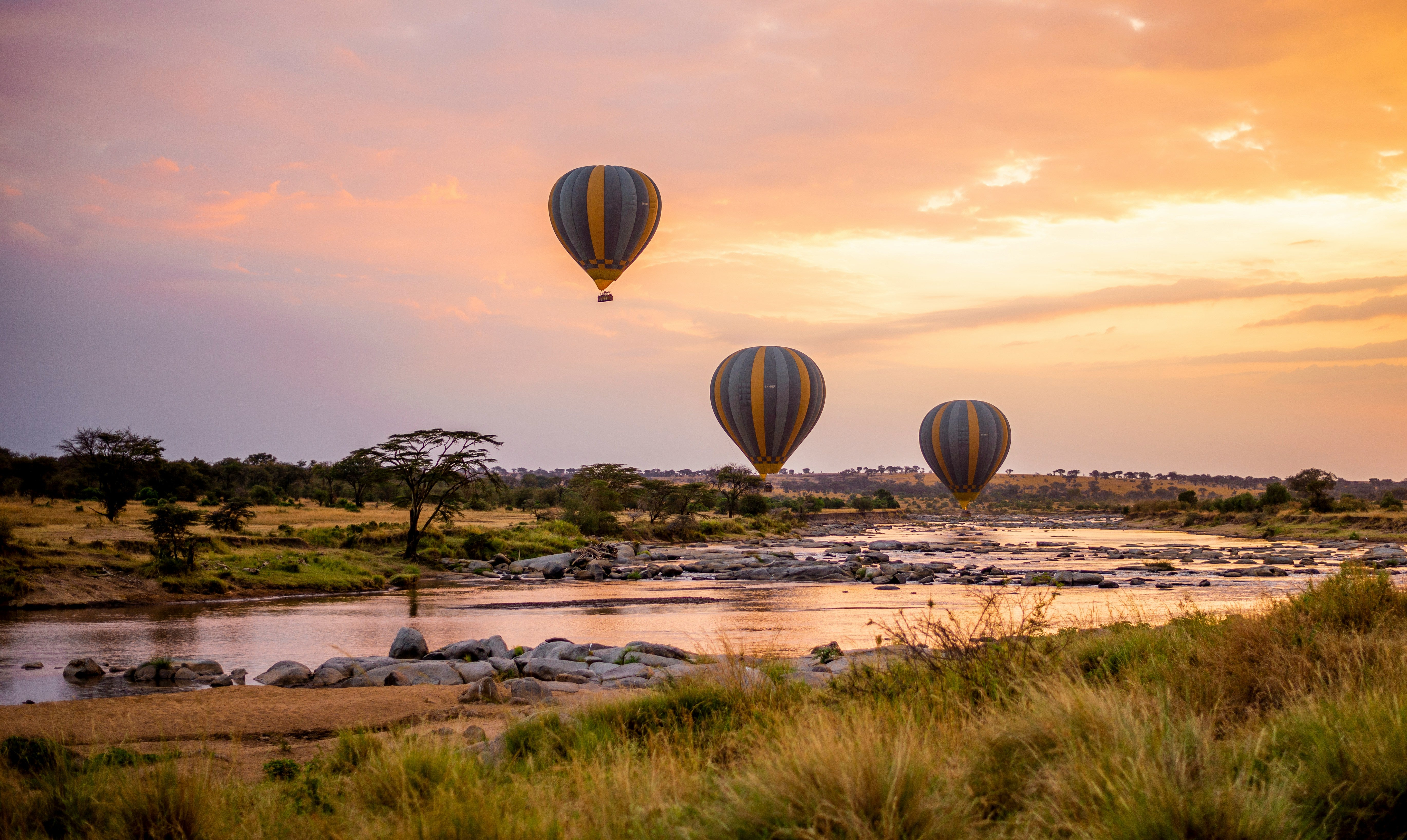 Serengeti & Beyond 2026