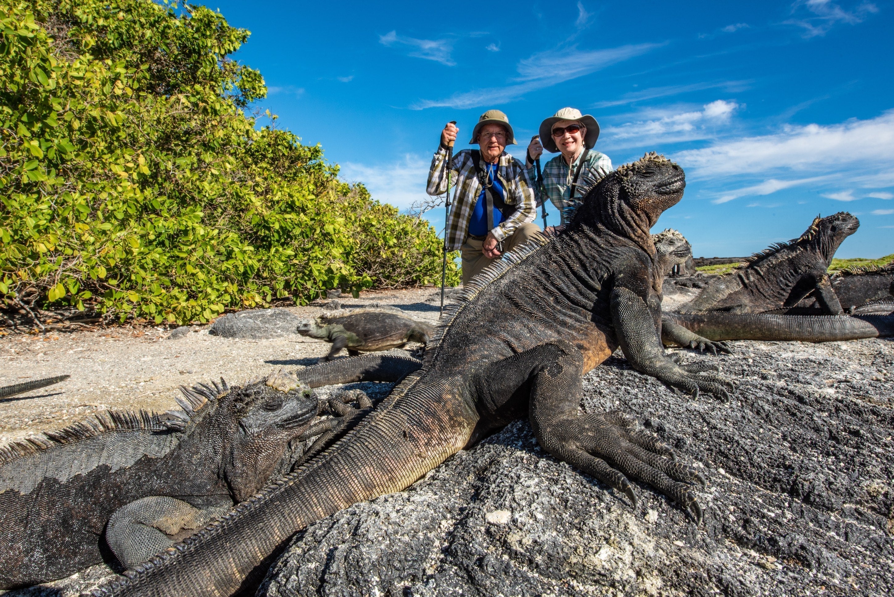 Galapagos Wildlife Cruise