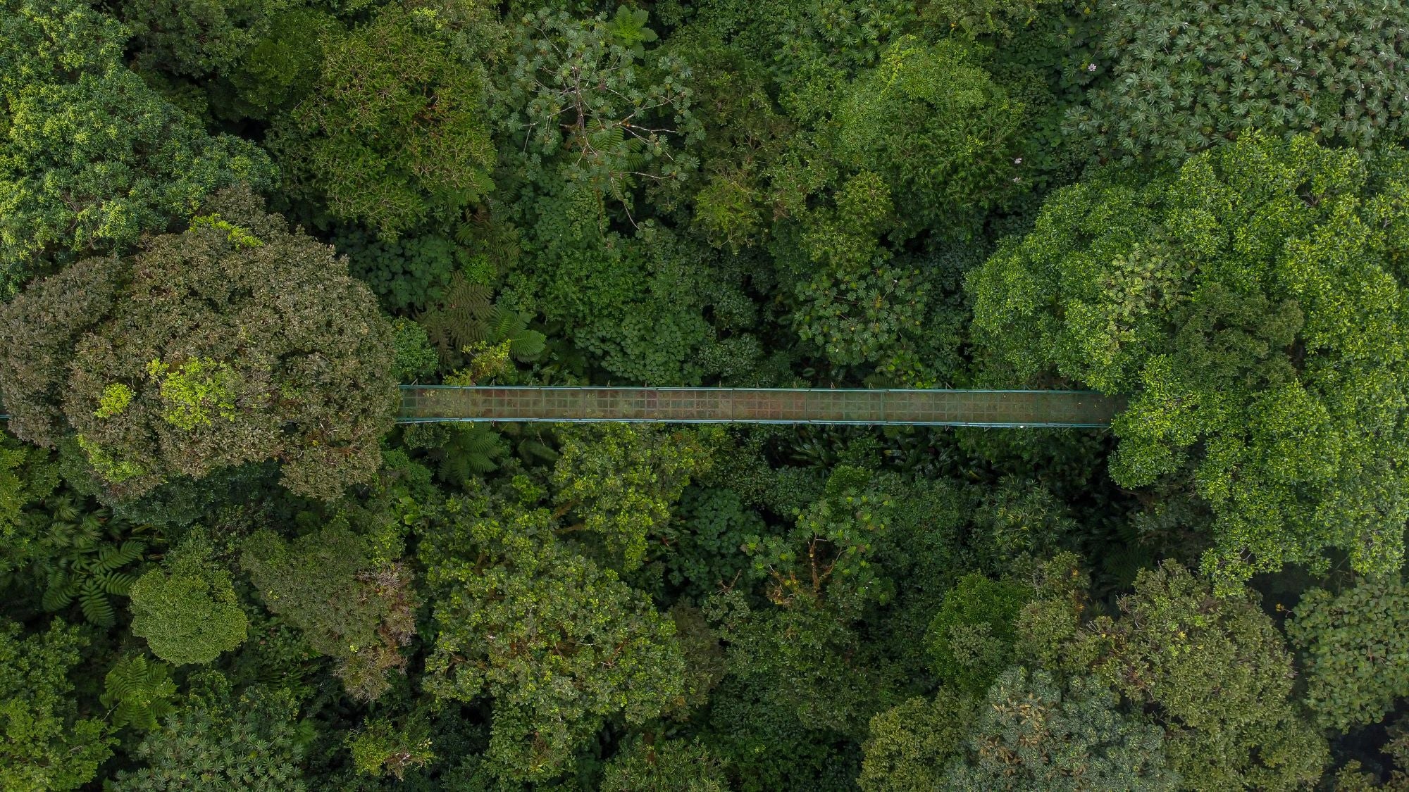 Costa Rica Adventure <br>7 - 23 March, 2027