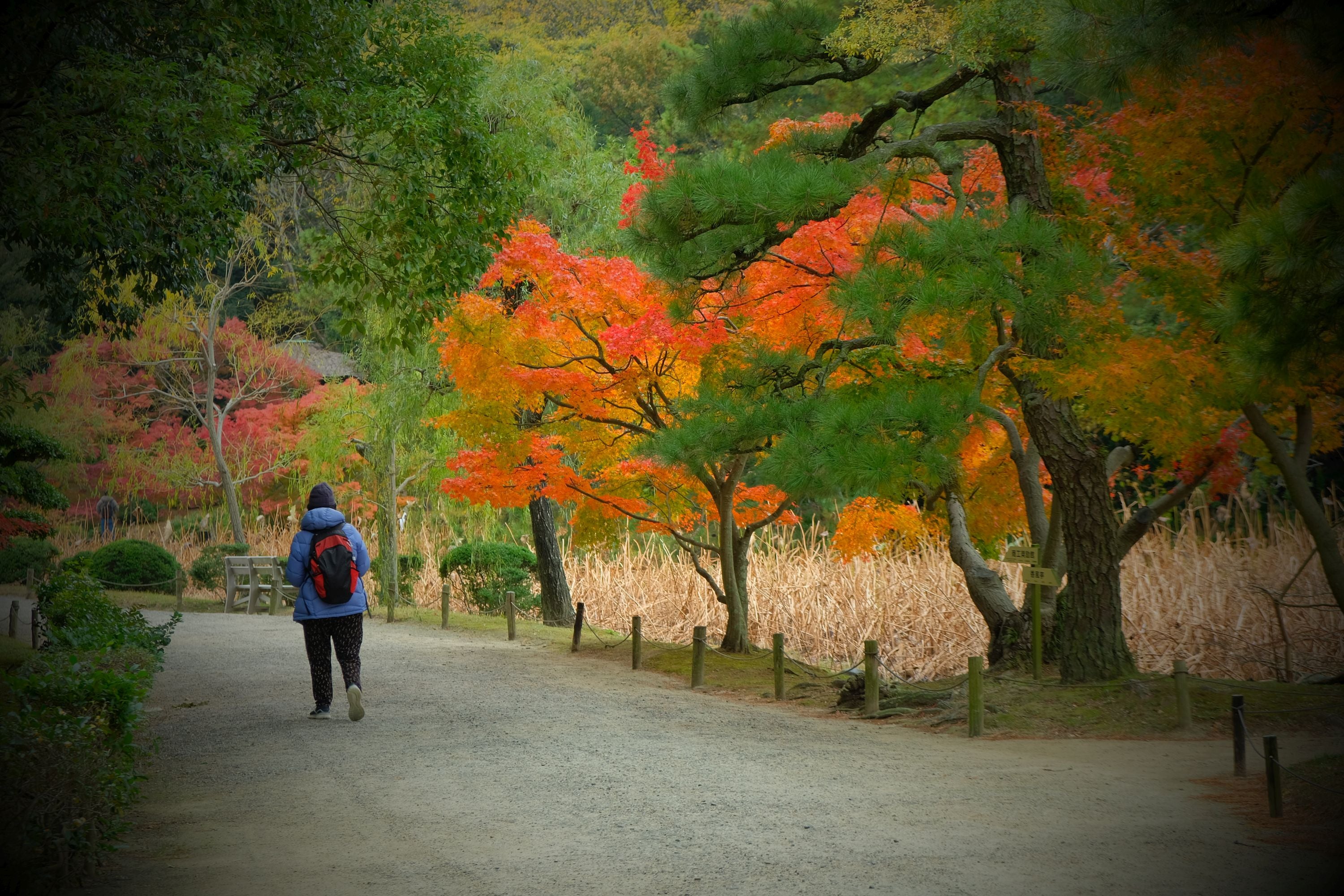 Walking in Japan <br>14 Nov - 3 Dec, 2026