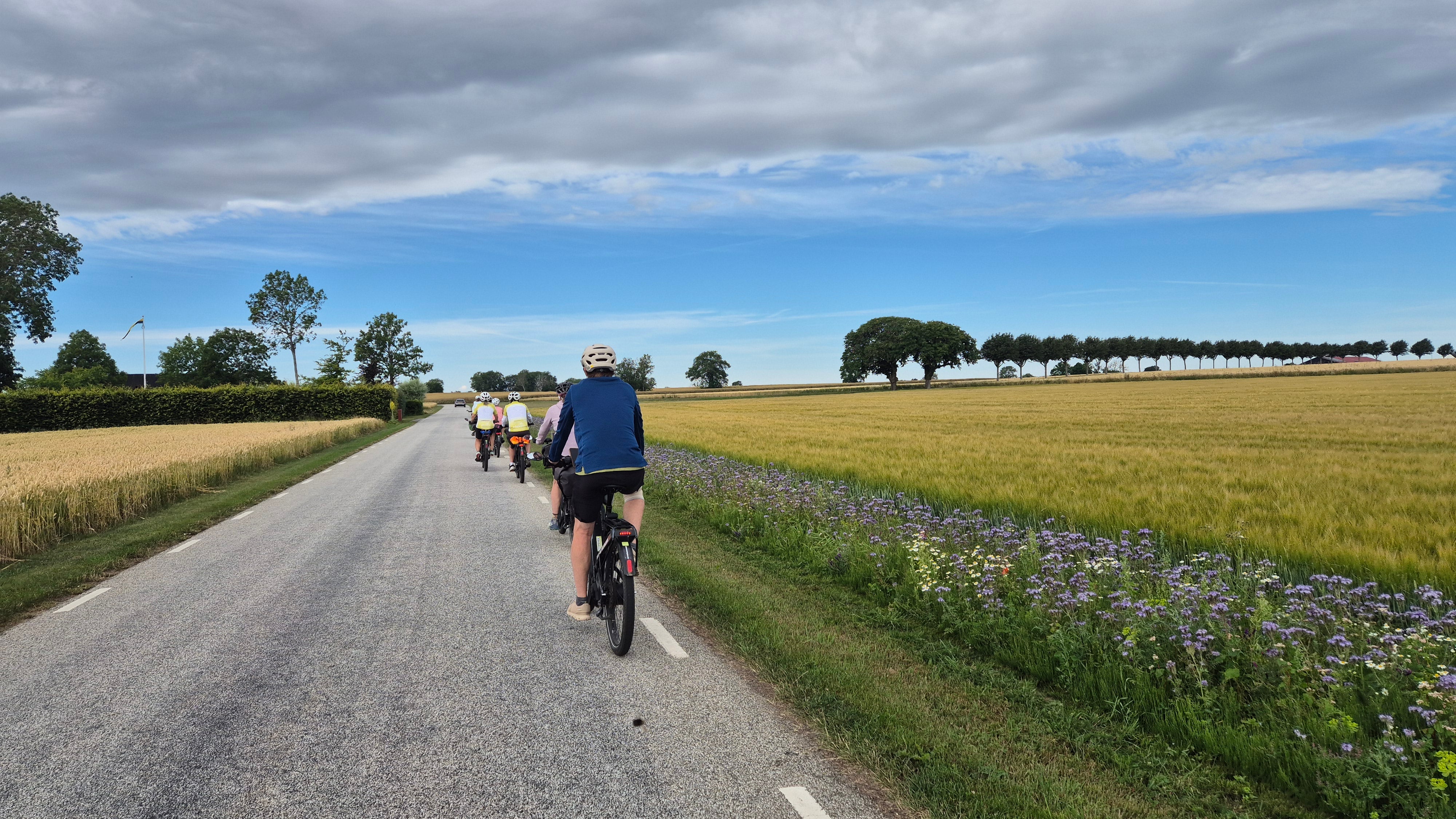 E-Bike: Denmark & Sweden <br>15 - 31 July, 2027