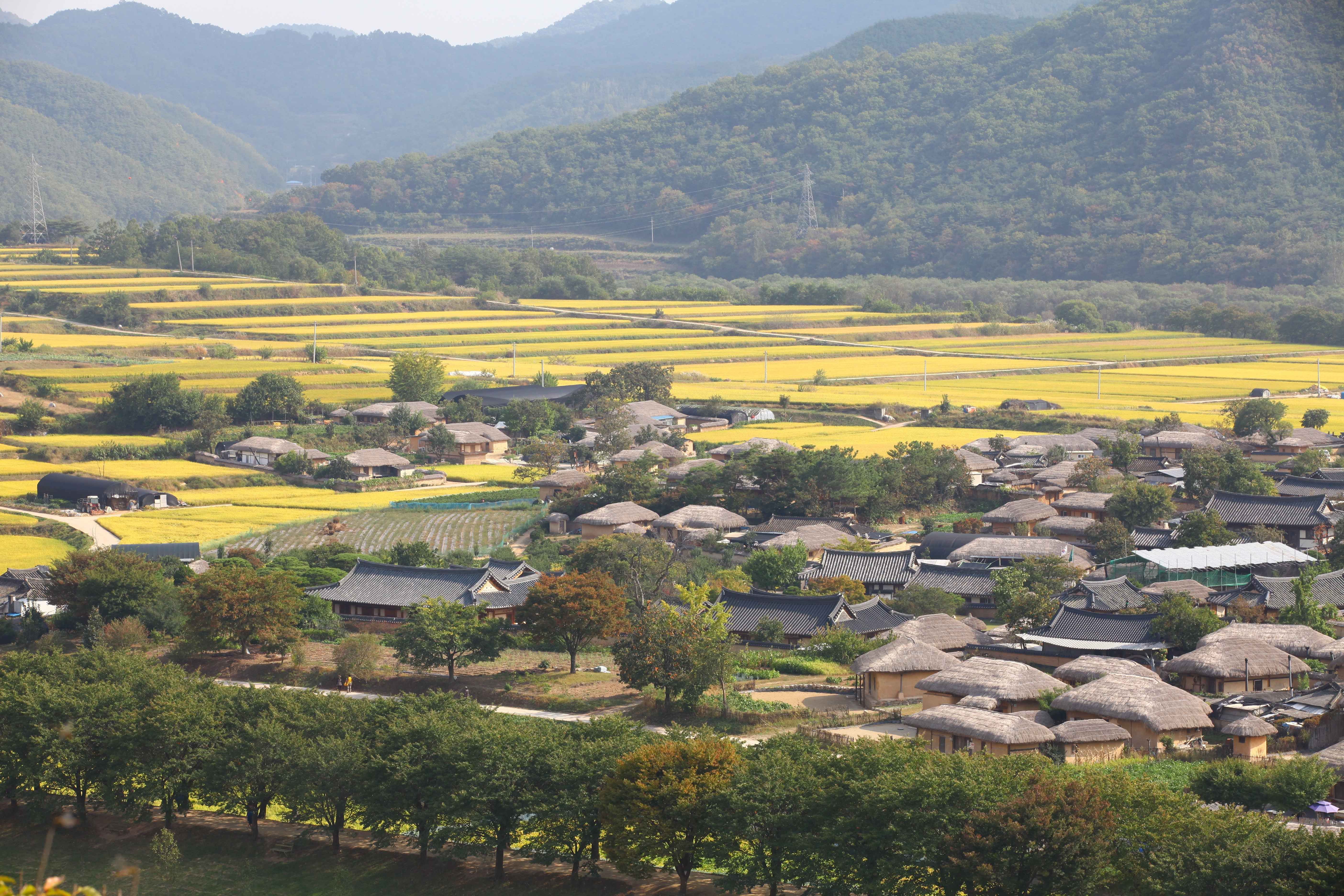 Japan & South Korea 2027<BR>30 October - 18 November, 2027