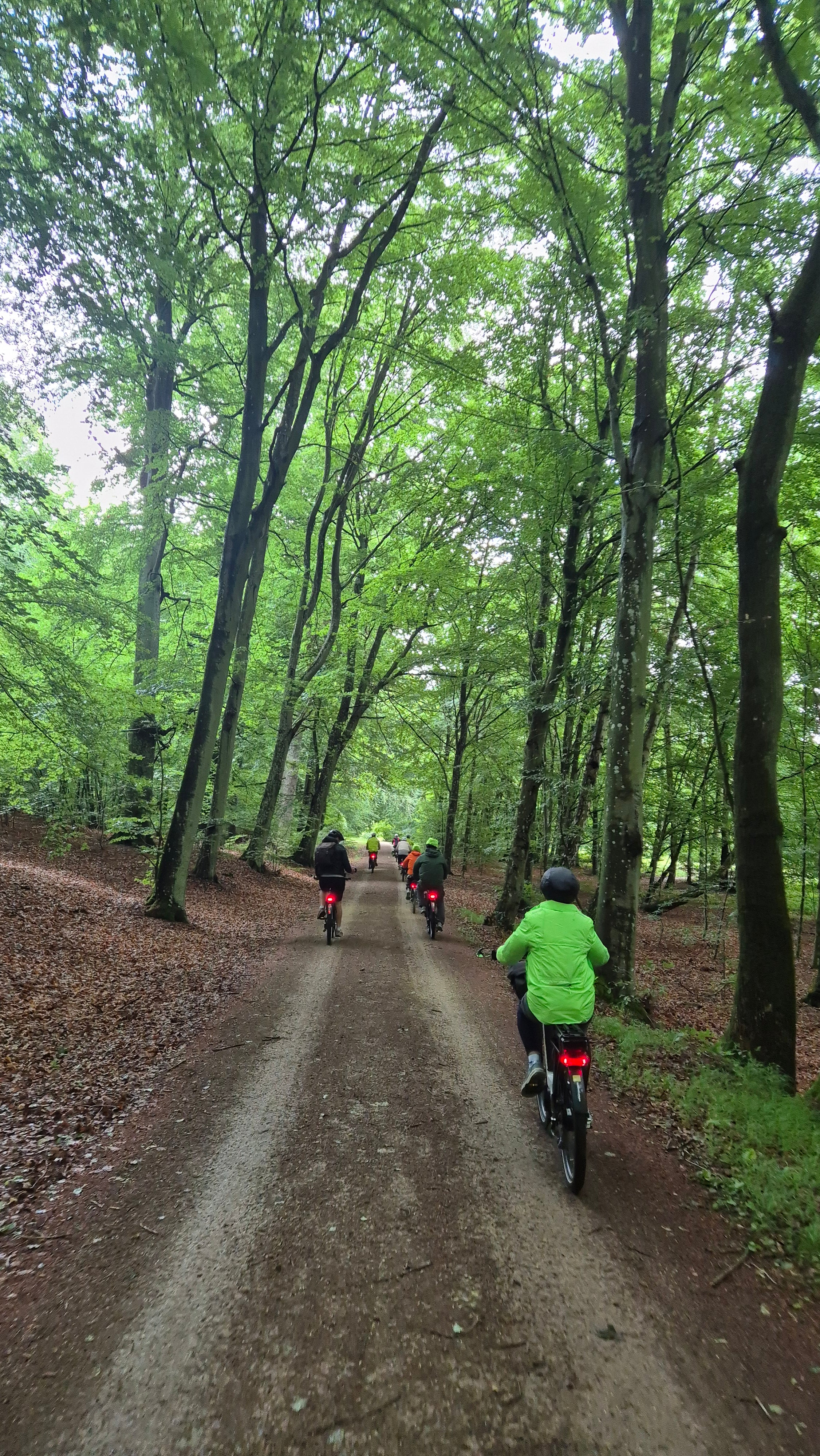 E-Bike: Denmark & Sweden <br>15 - 31 July, 2027