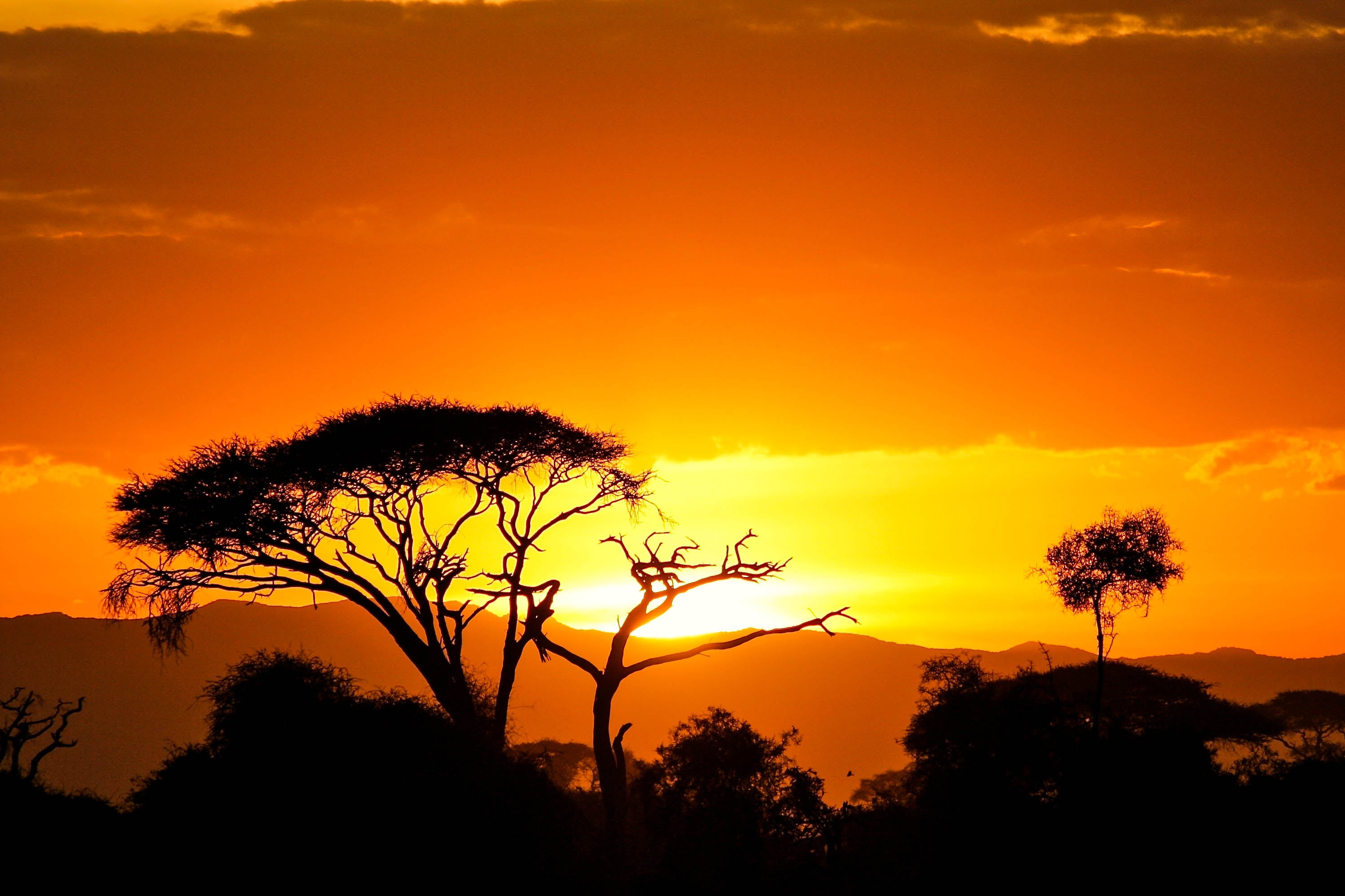 The Serengeti & Beyond <br>31 Aug - 17 Sept, 2026