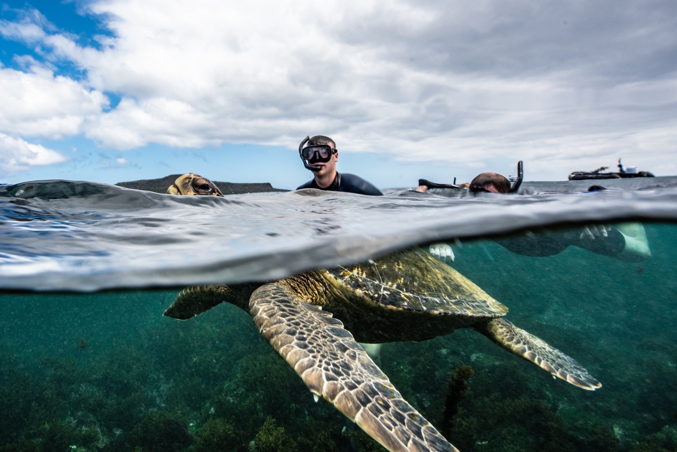 Galapagos Wildlife Cruise <br>19 - 31 May, 2026