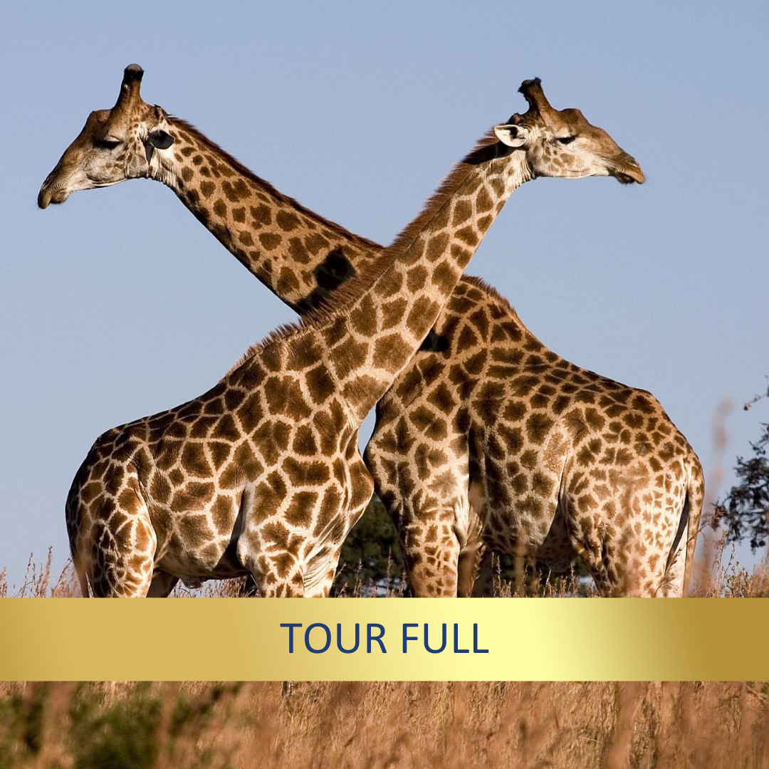 The Serengeti & Beyond <br>31 Aug - 17 Sept, 2026