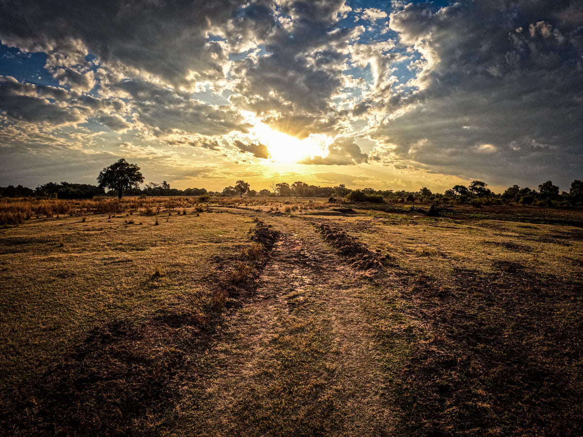 Malawi & Zambia Explorer <br>21 July - 10 August, 2027