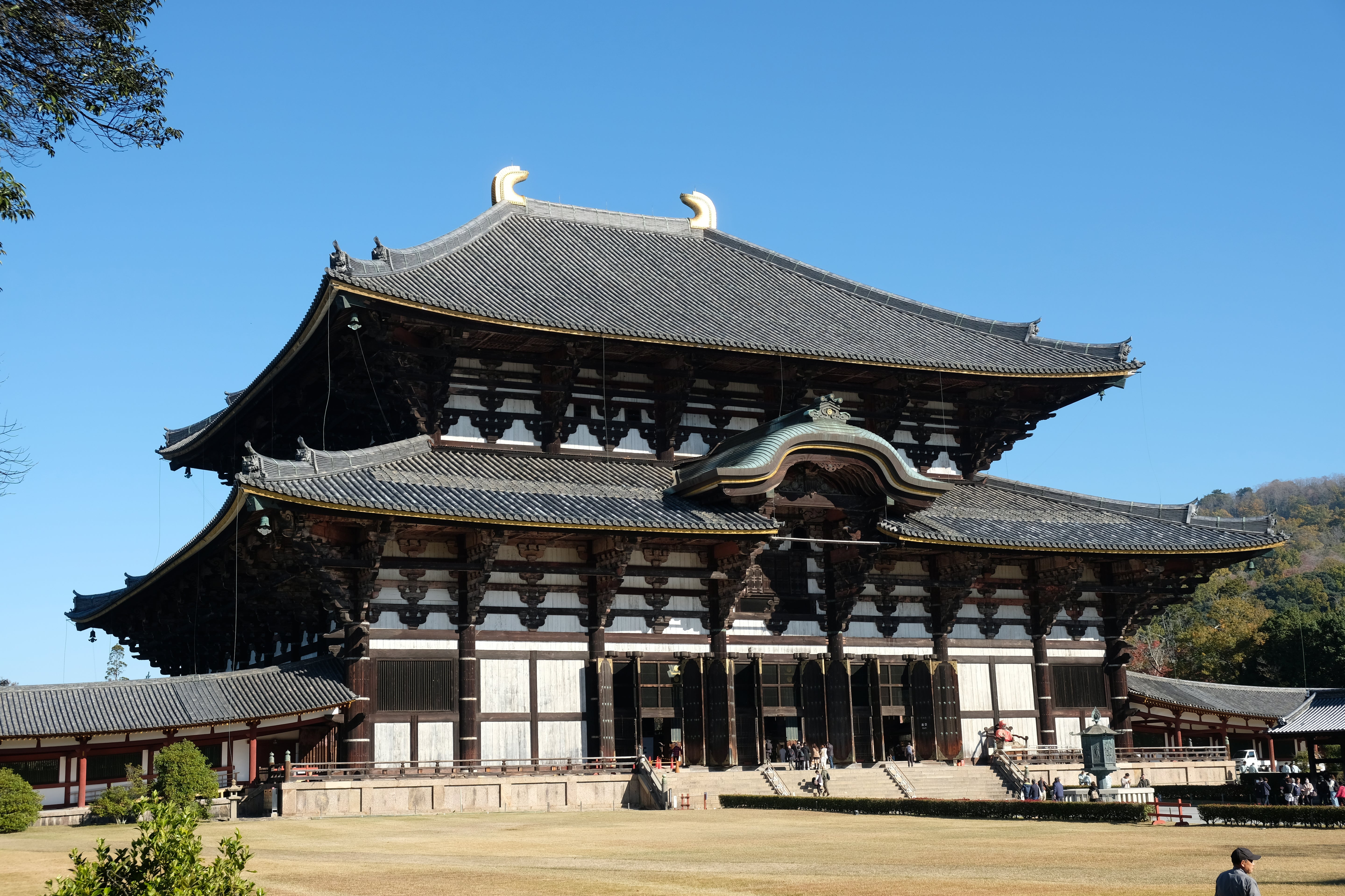 Walking in Japan <br>14 Nov - 3 Dec, 2026