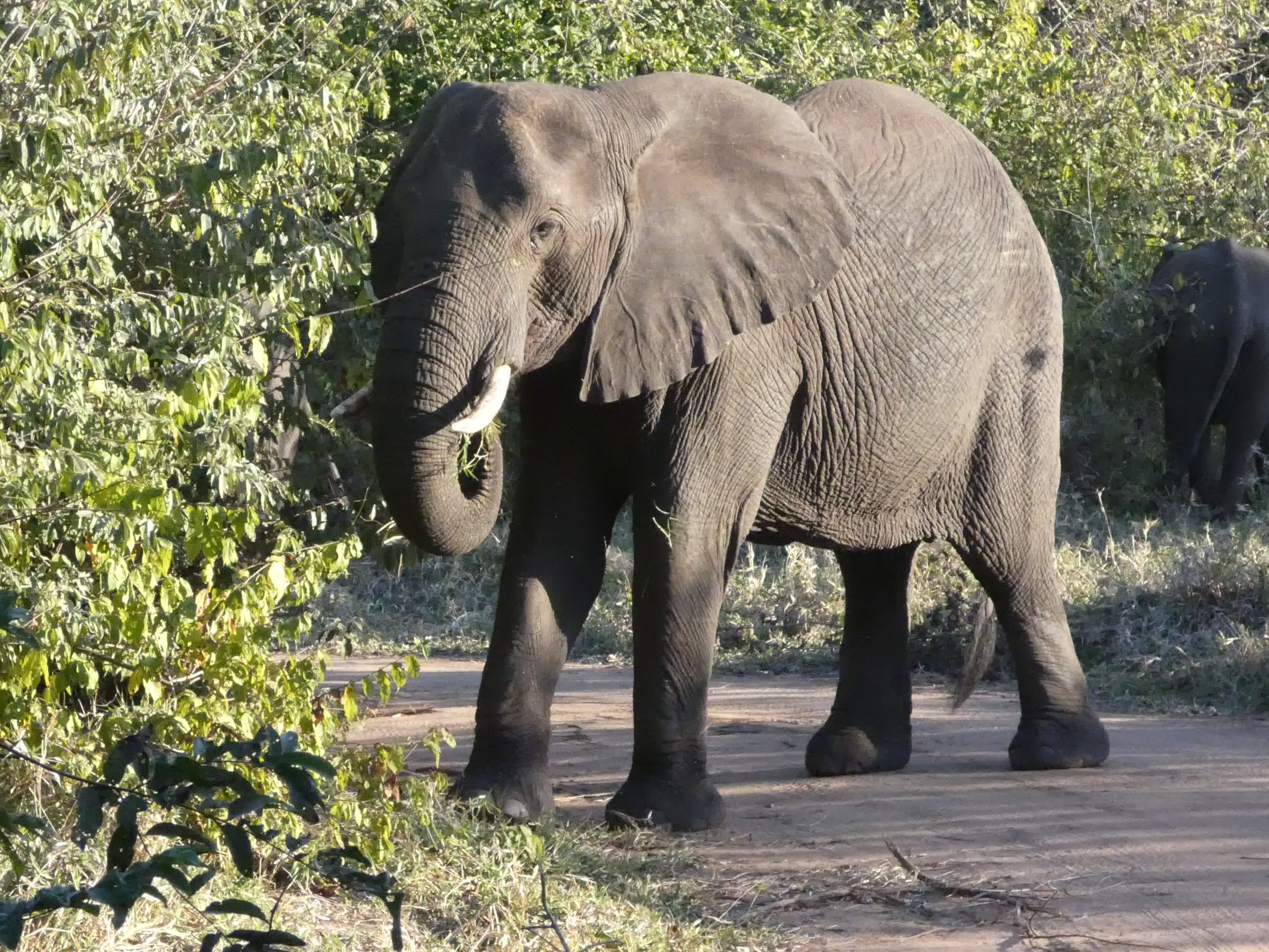 Malawi & Zambia <br>21 July - 10 August, 2027