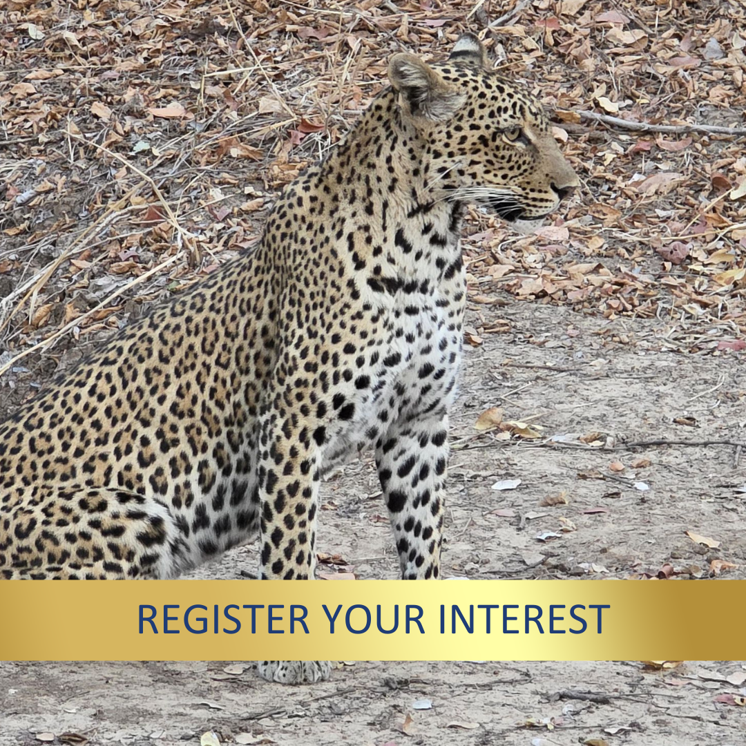 Malawi & Zambia <br>July/August, 2027