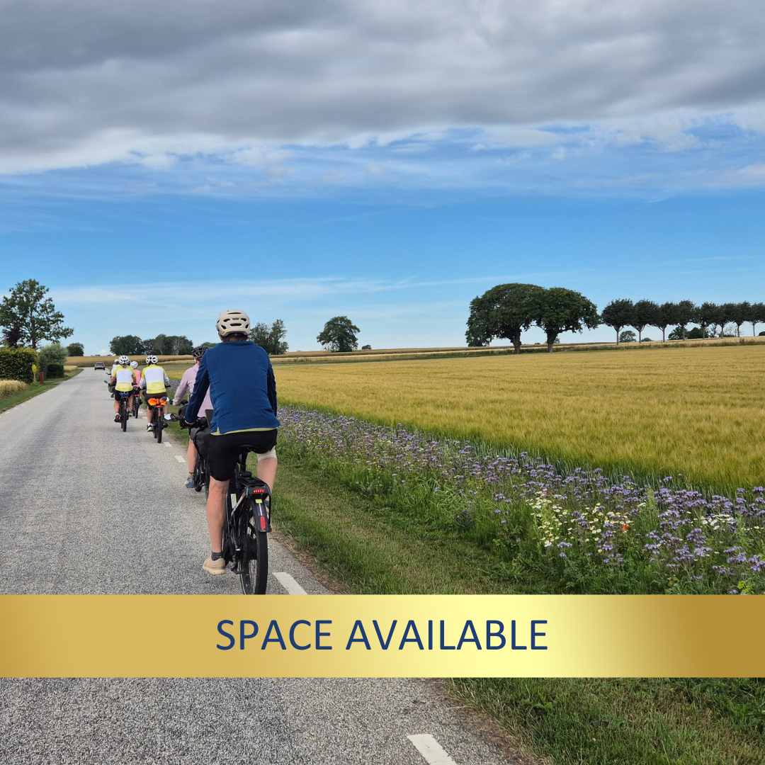 E-Bike: Denmark & Sweden <br>17 - 28 July, 2027