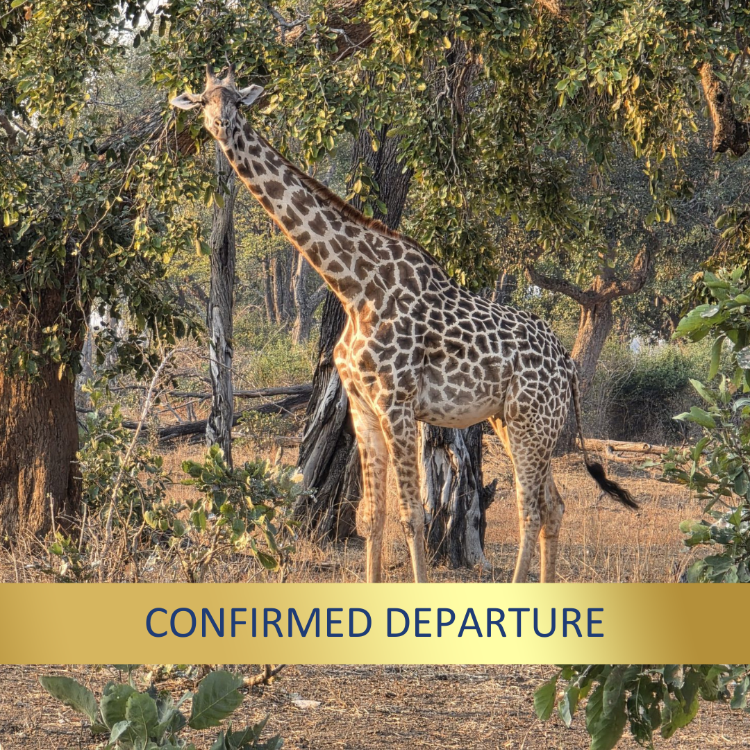 Malawi & Zambia Explorer <br>21 July - 10 August, 2027
