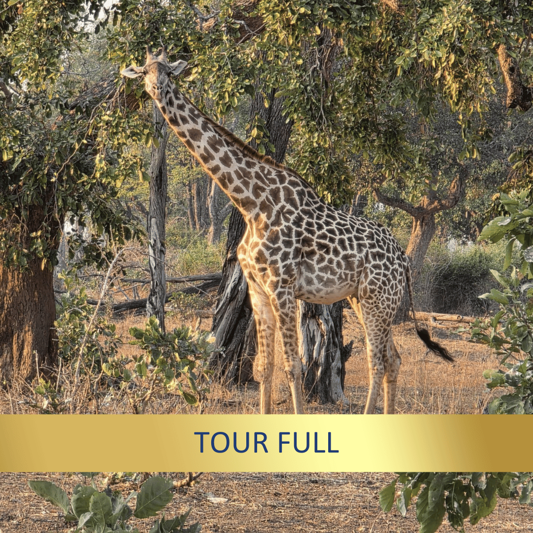 Malawi & Zambia Explorer <br>21 July - 10 August, 2027
