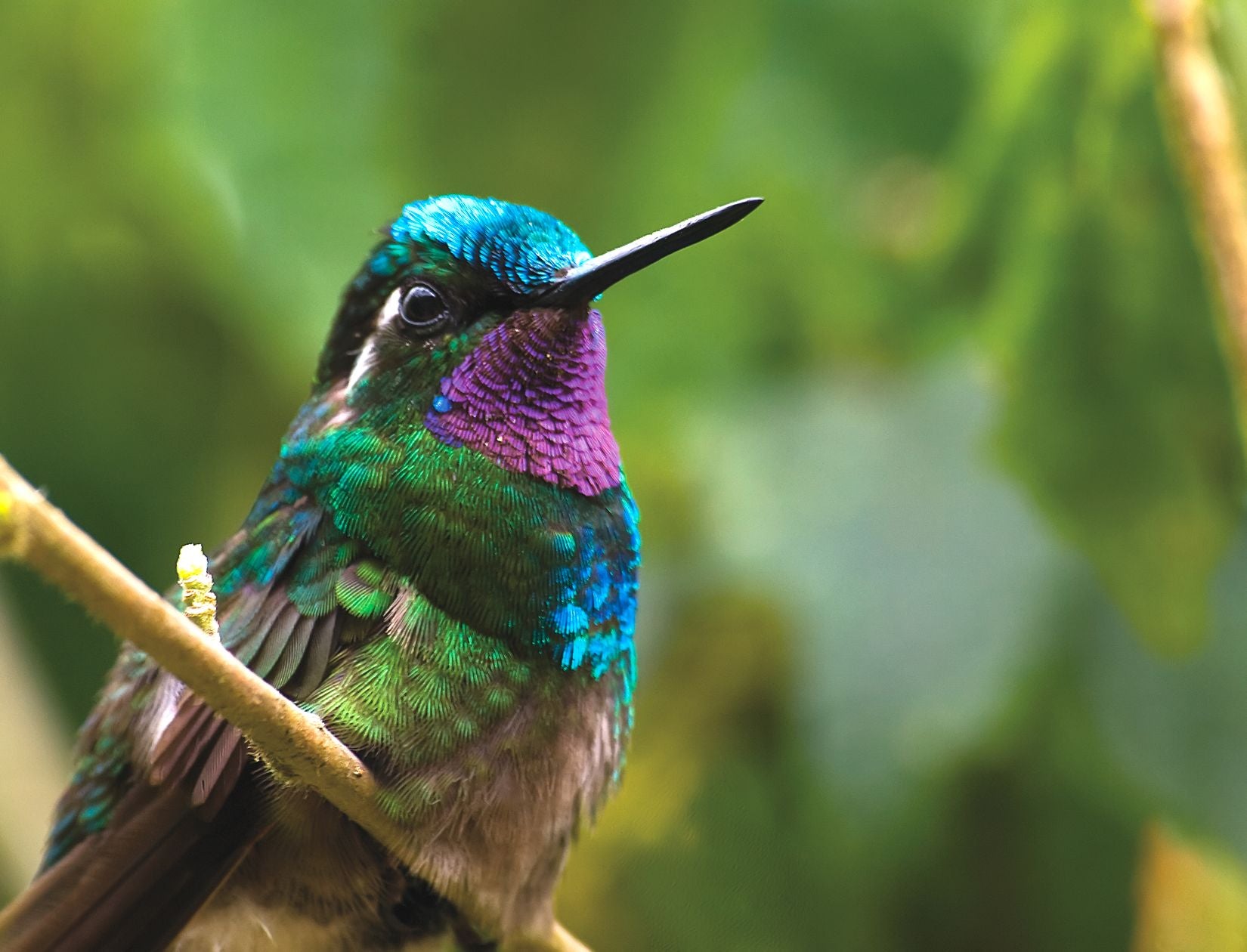 Costa Rica Adventure <br>7 - 23 March, 2027