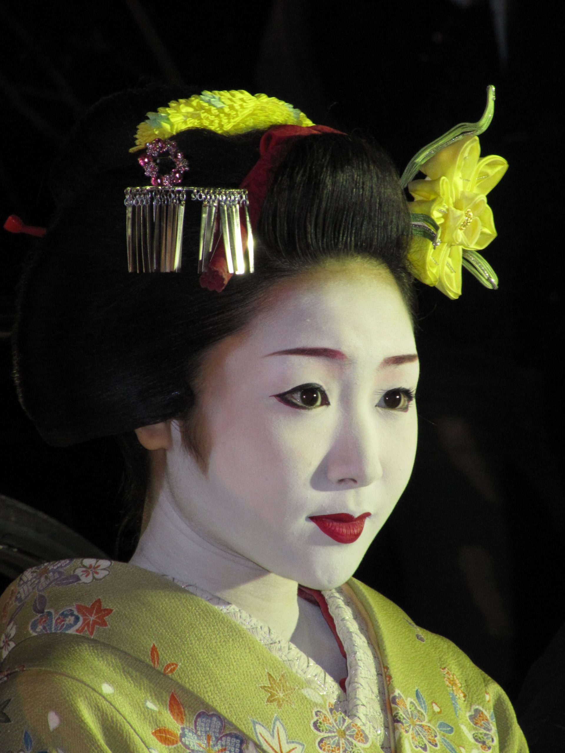 Geisha, Japan