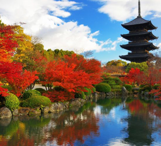 To-ji Temple in Kyoto features Japan's tallest wooden pagoda, a UNESCO site built in 796, and hosts a vibrant flea market.
