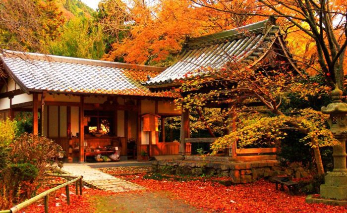 Autumn in Japan