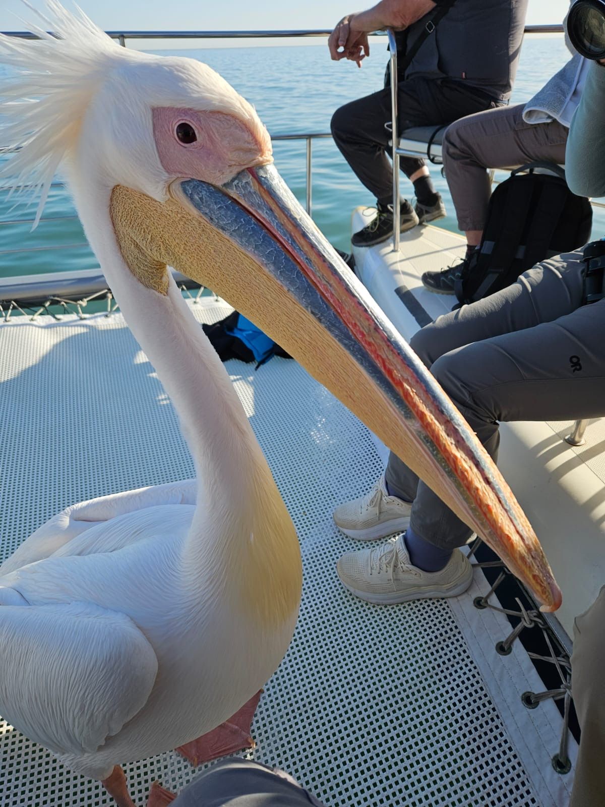 Walvis Bay, Namibia