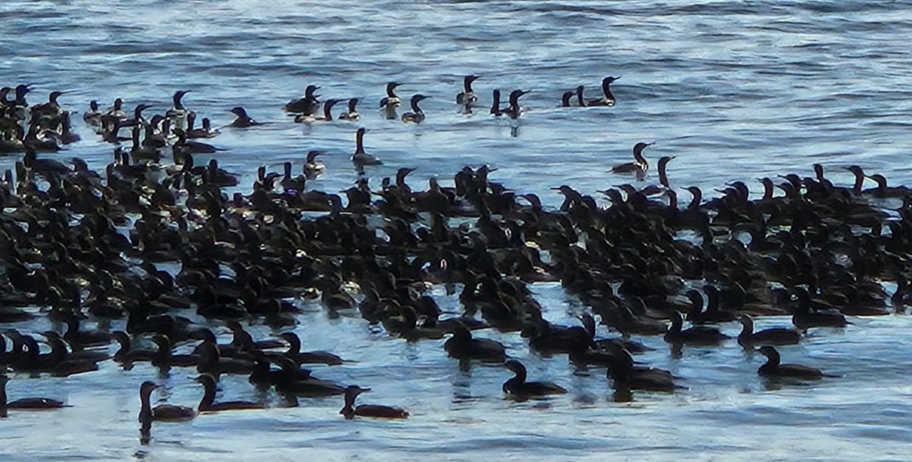 Walvis Bay, Namibia