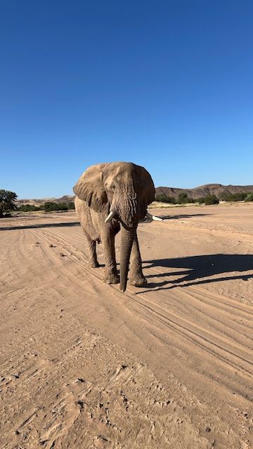 Damarland, Namibia